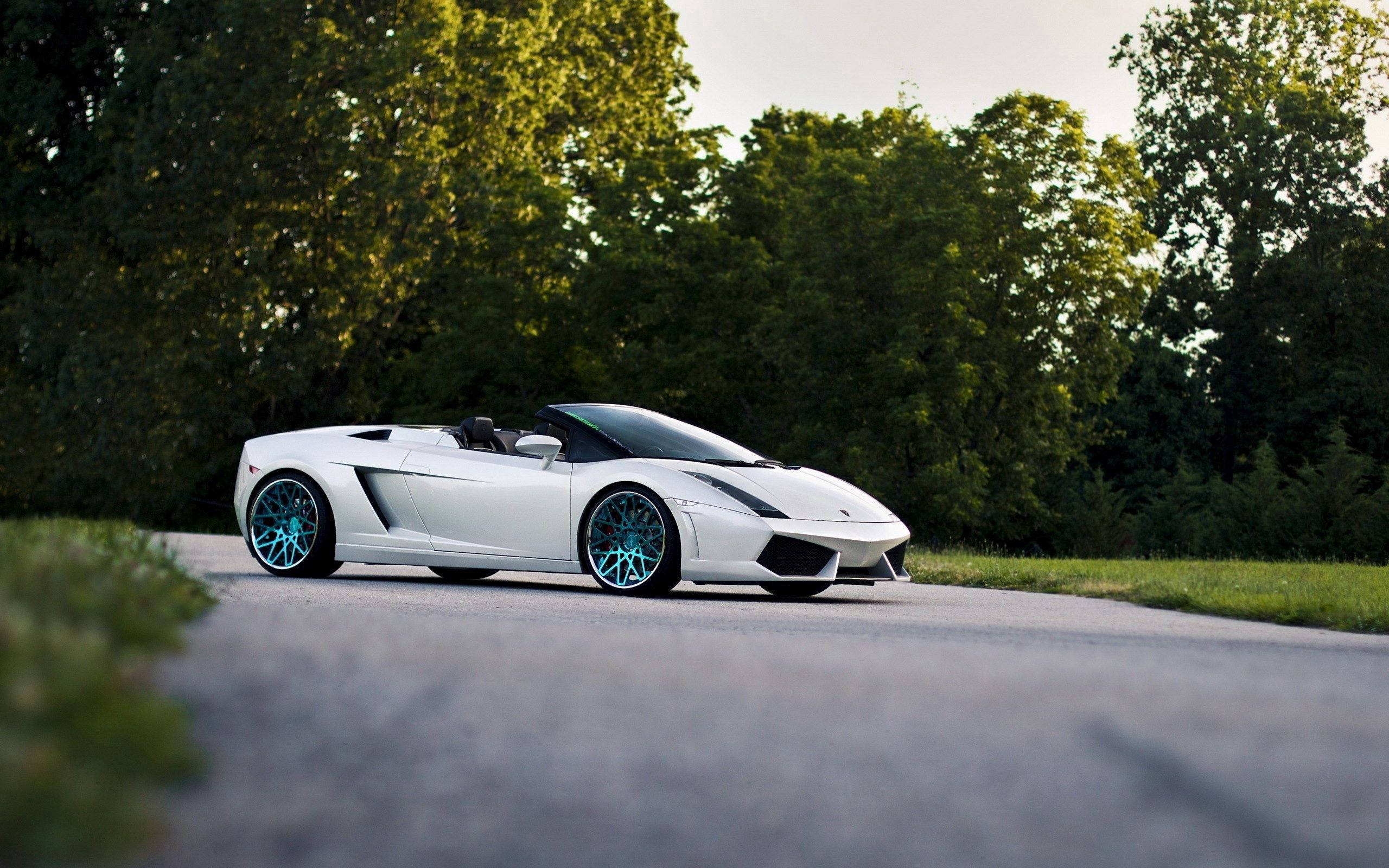 Λευκή Lamborghini Gallardo Spyder με ανοιχτή οροφή Ταπετσαρία