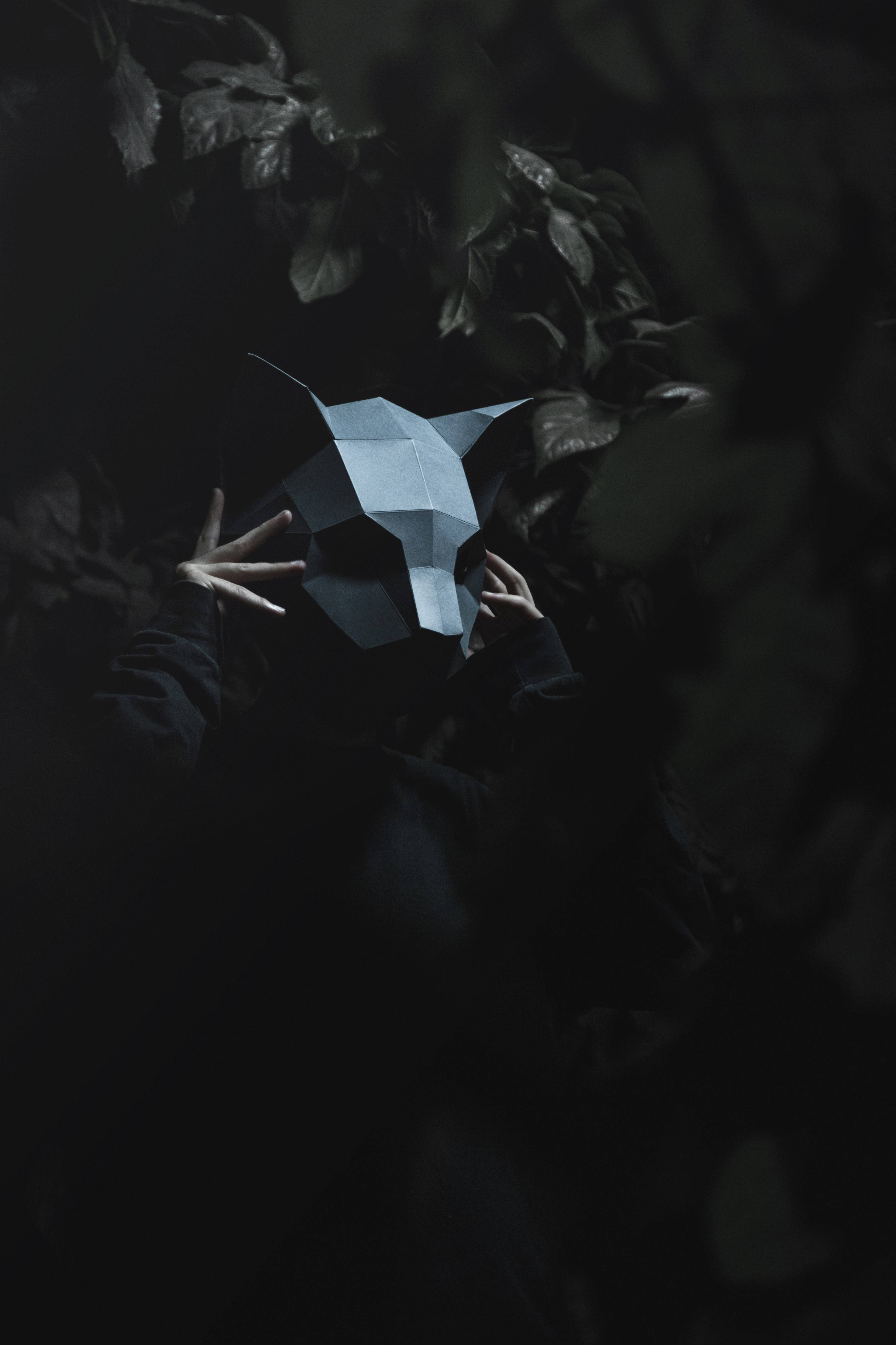 Χαριτωμένη Τρισδιάστατη Μάσκα Γάτας Low Poly Ταπετσαρία