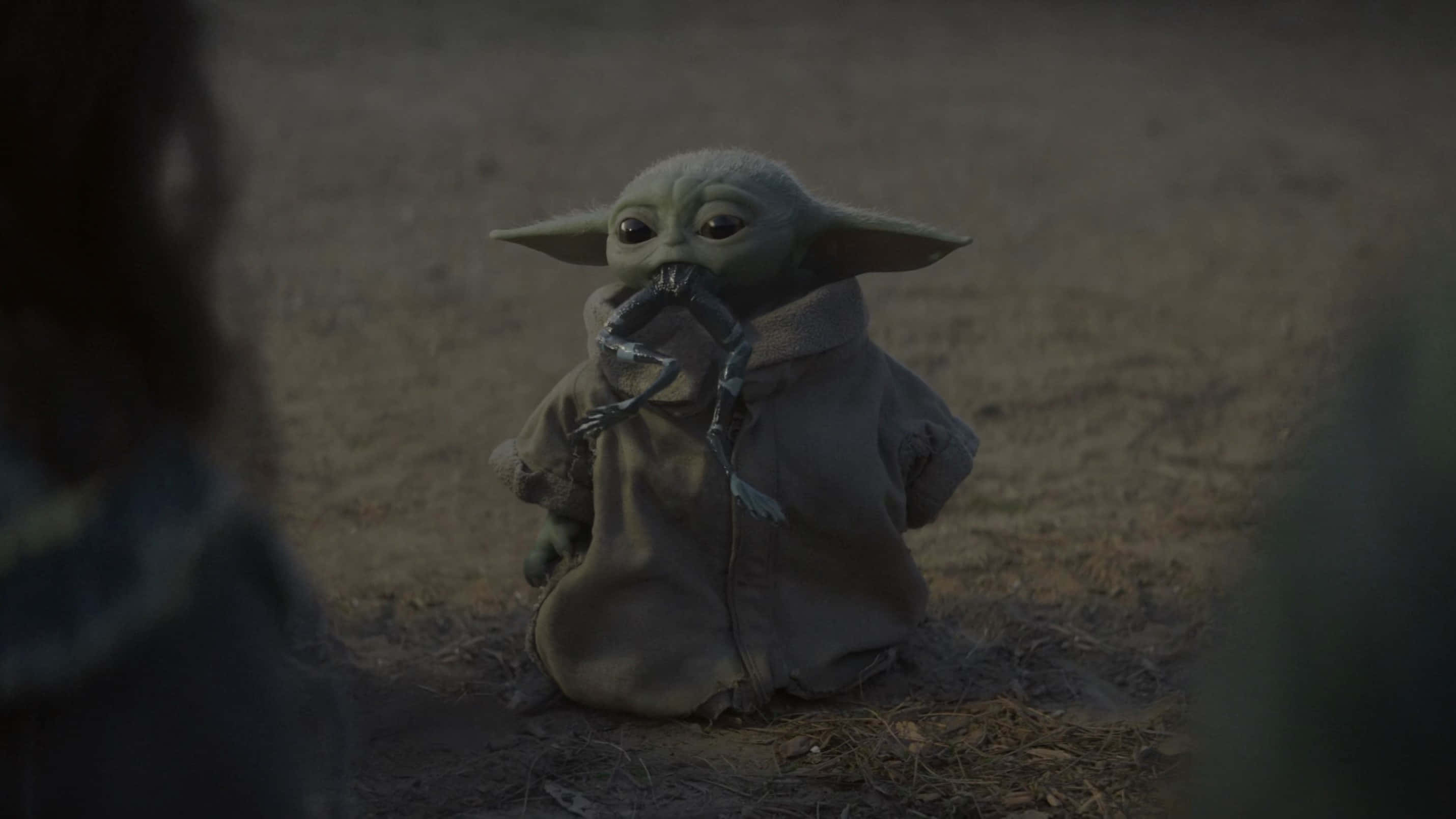 Mandalorian Yoda Δαγκώνει Μπούτια Βατράχου Ταπετσαρία