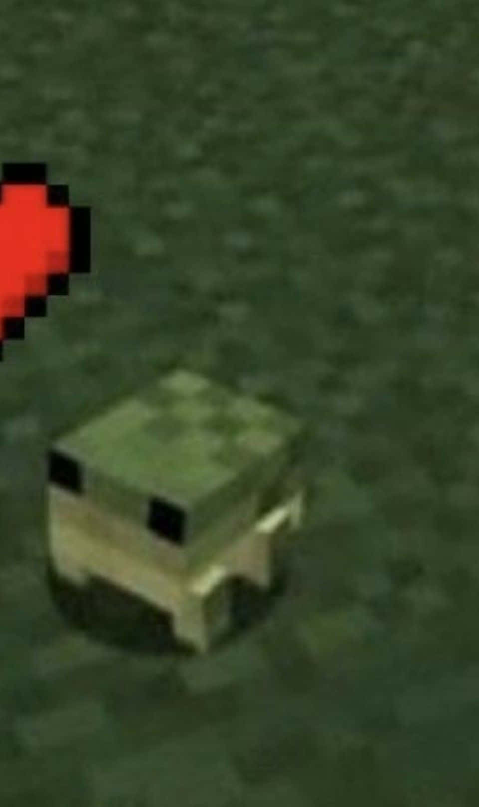 Χαριτωμένος Βάτραχος από το Minecraft Εικόνα Προφίλ Ταπετσαρία
