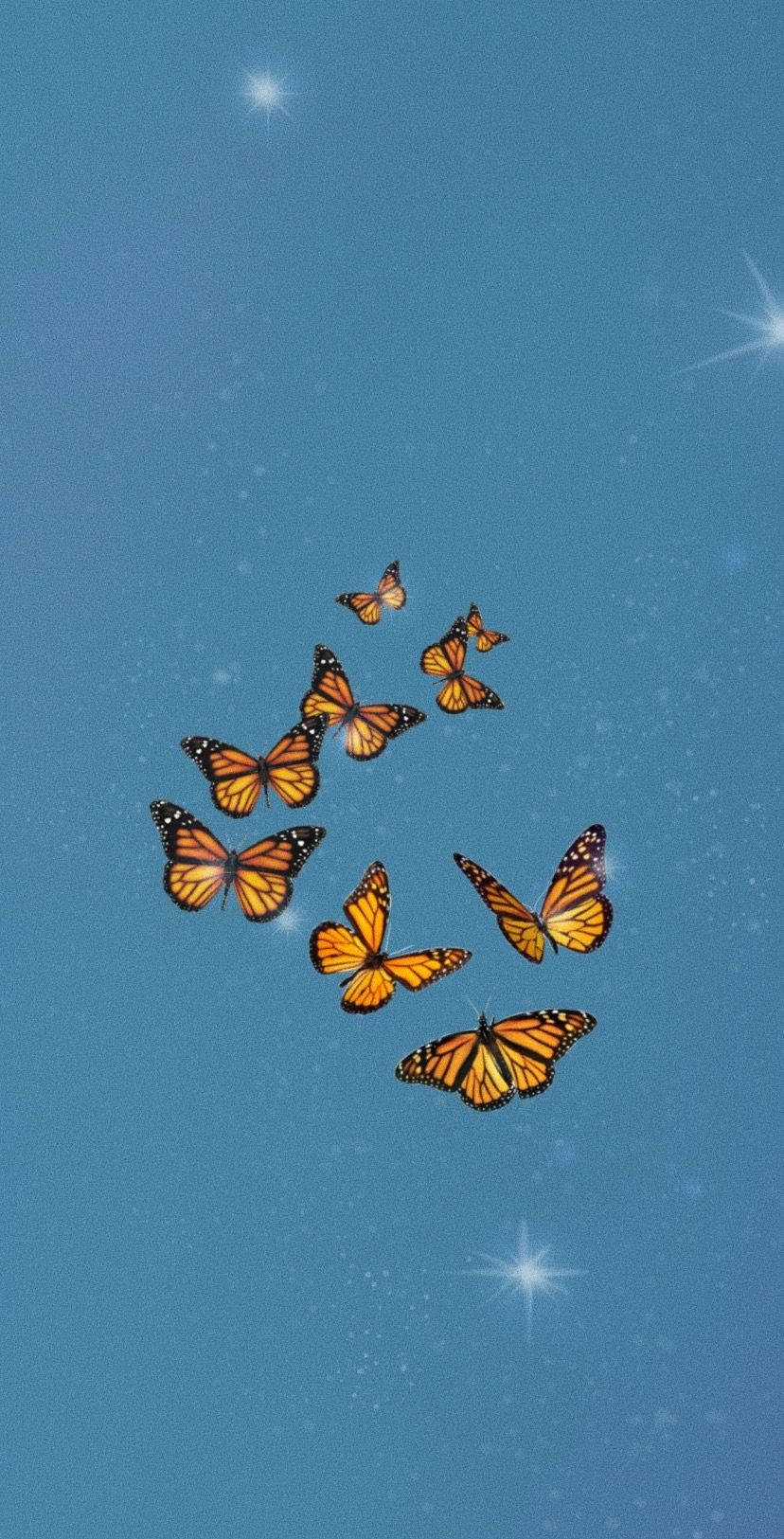 Αισθητική Ομάδα Πεταλούδων Monarch Ταπετσαρία