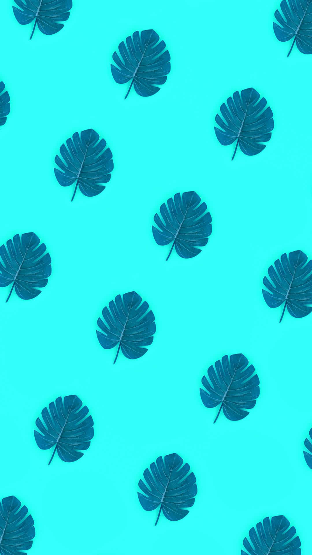 Αισθητικό μοτίβο φύλλων monstera VSCO σε φόντο Ταπετσαρία