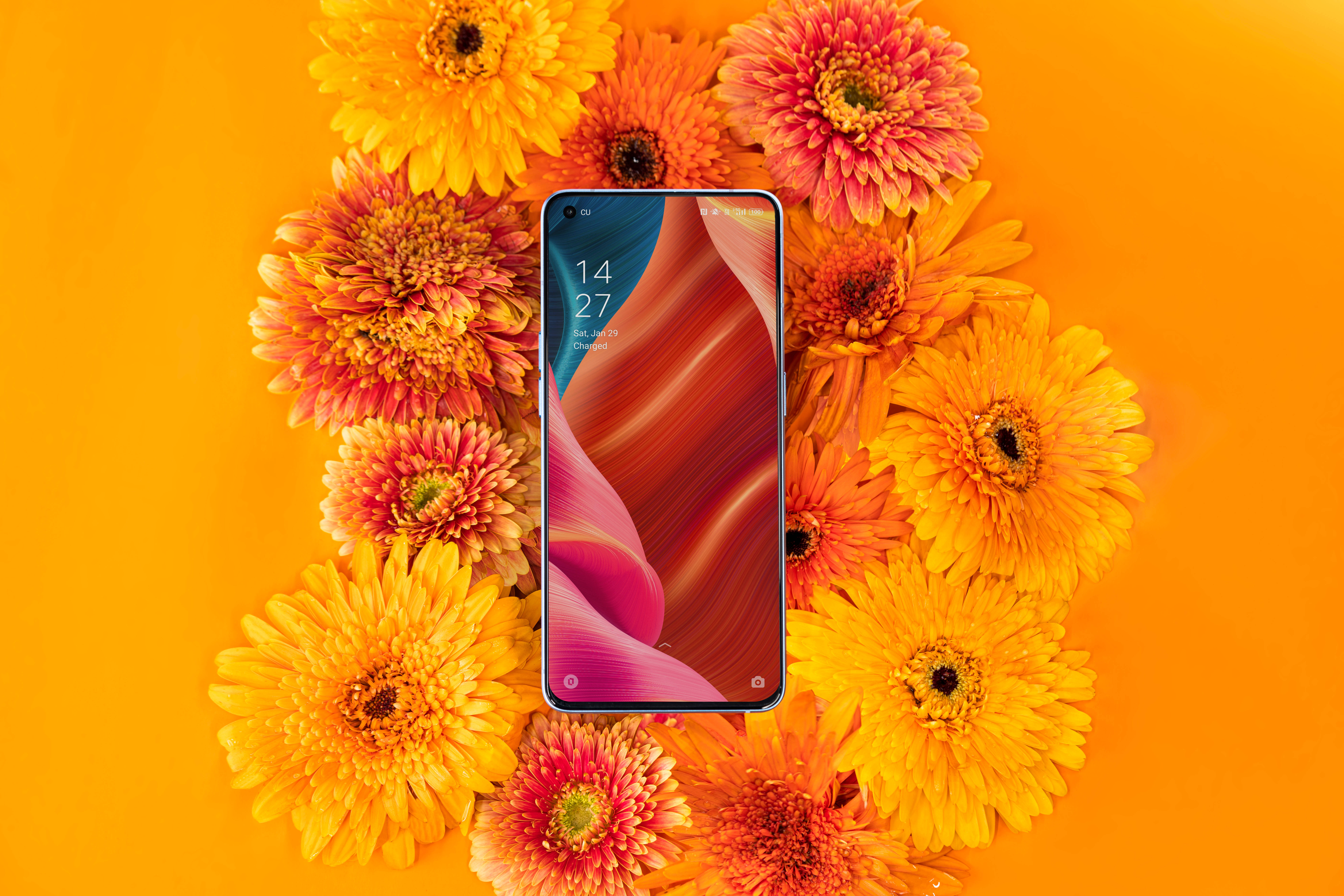 Oppo Smartphone και Ανθισμένη Χλωρίδα Ταπετσαρία