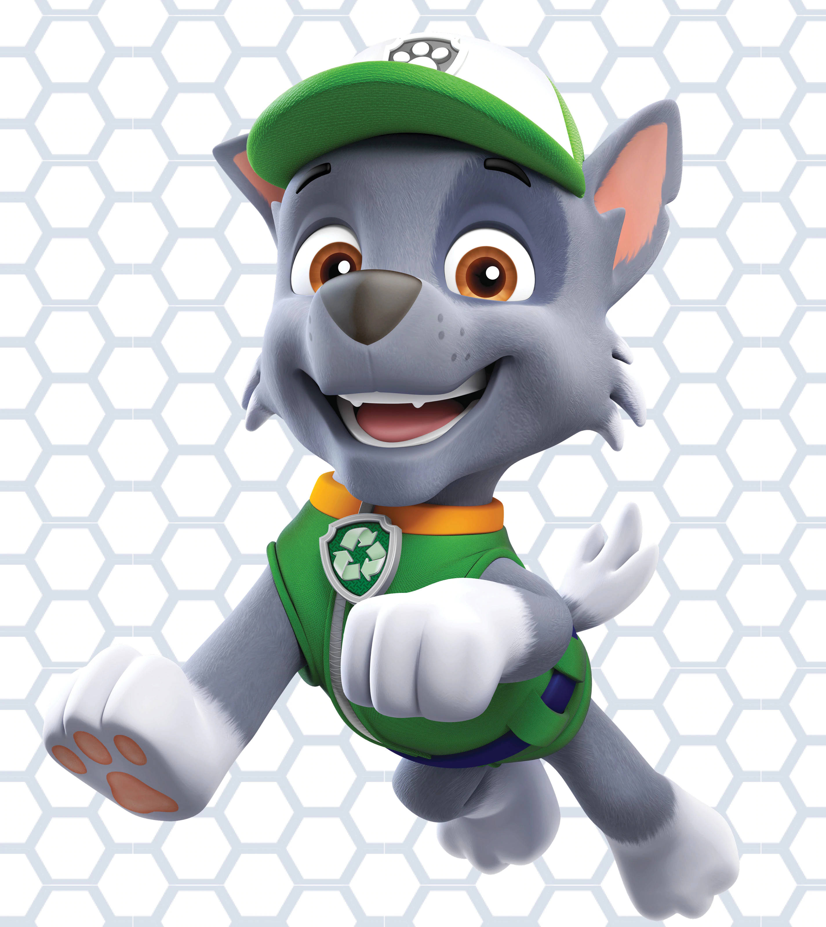 Paw Patrol Rocky Ταπετσαρία