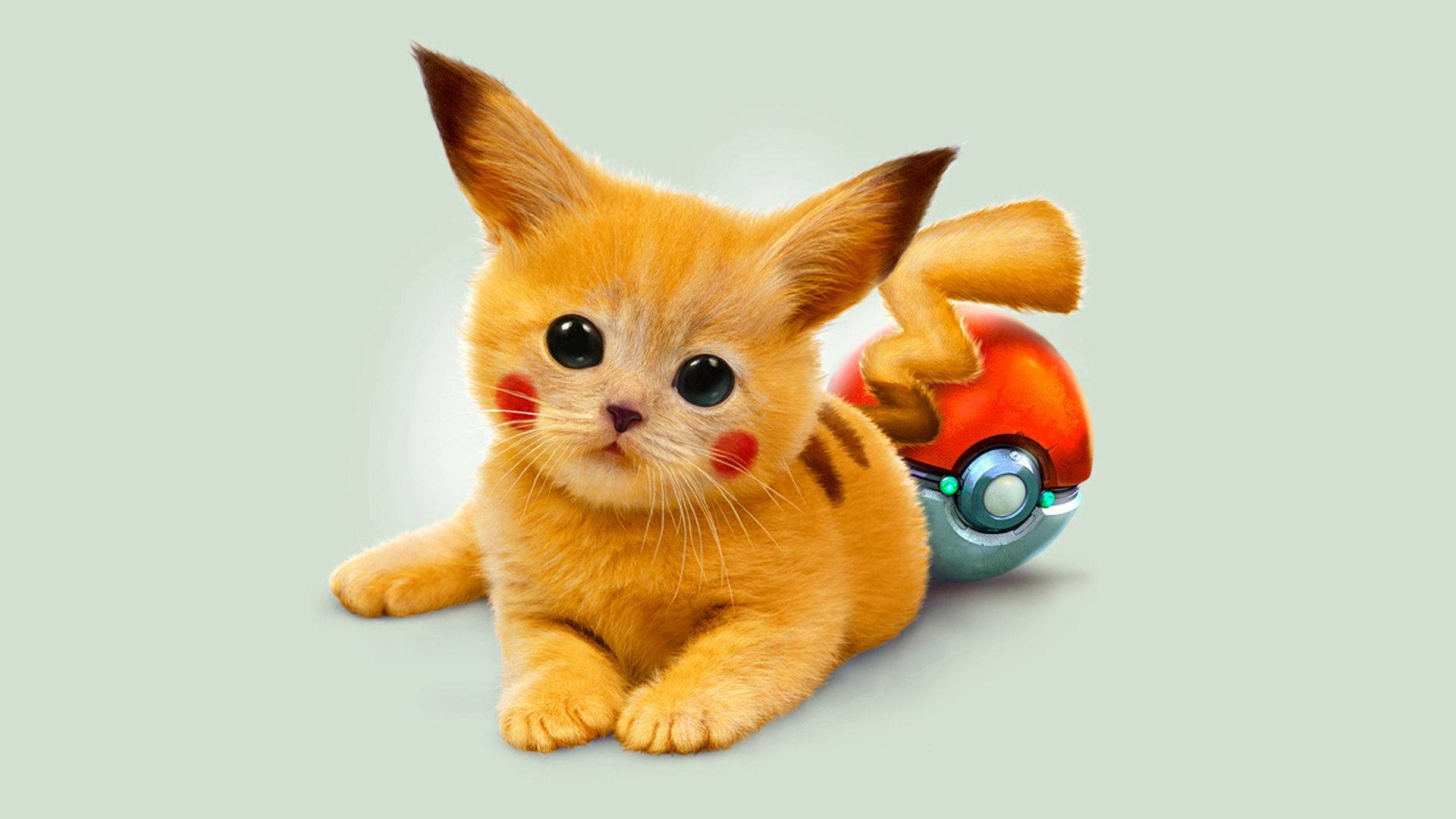 Χαριτωμένη και Αγκαλιάστρα Γάτα Pikachu Ταπετσαρία