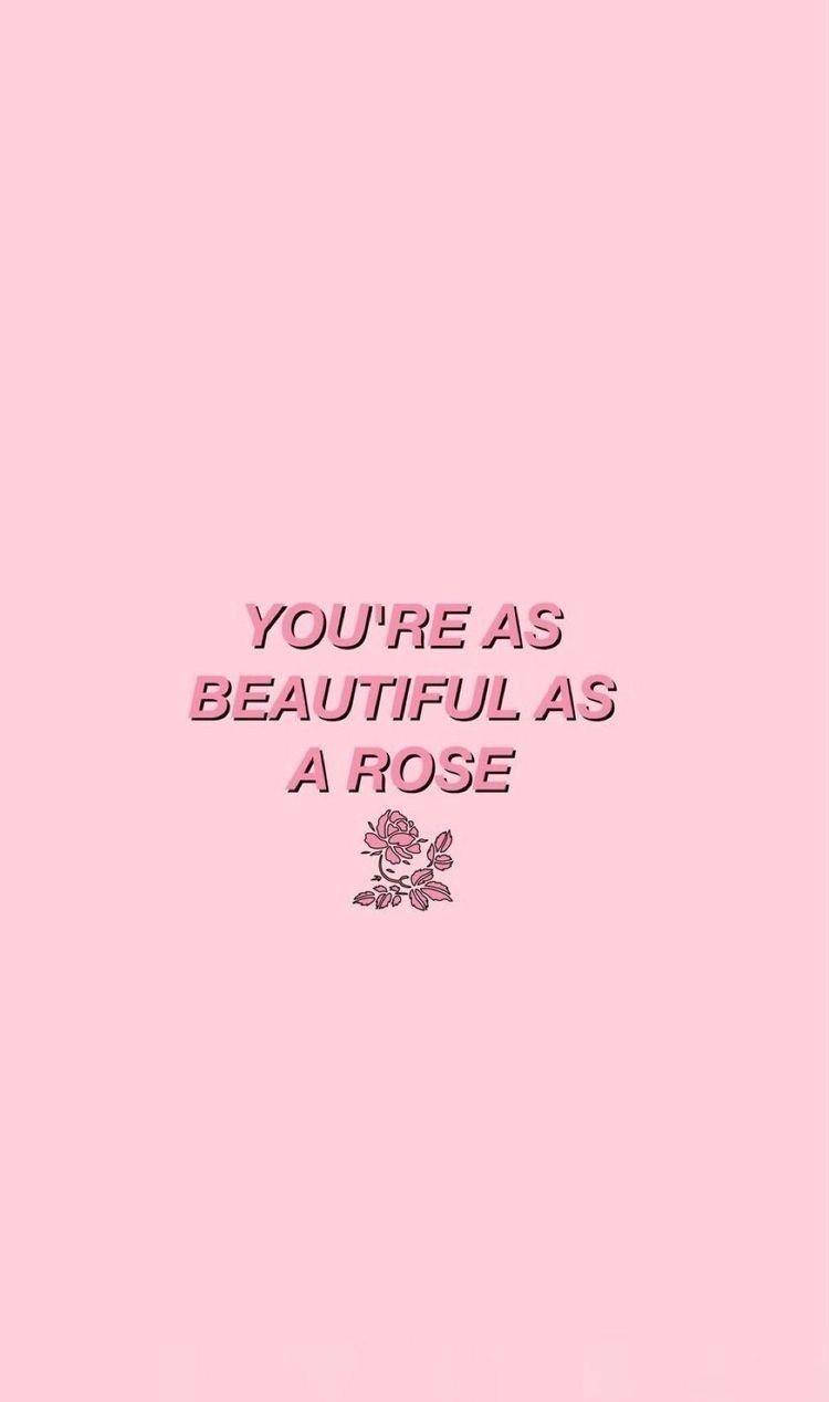 Pink Aesthetic Rose για iPhone Ταπετσαρία