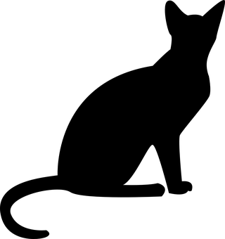 Μαύρη Οθόνη Placeholder.JPG Ταπετσαρία