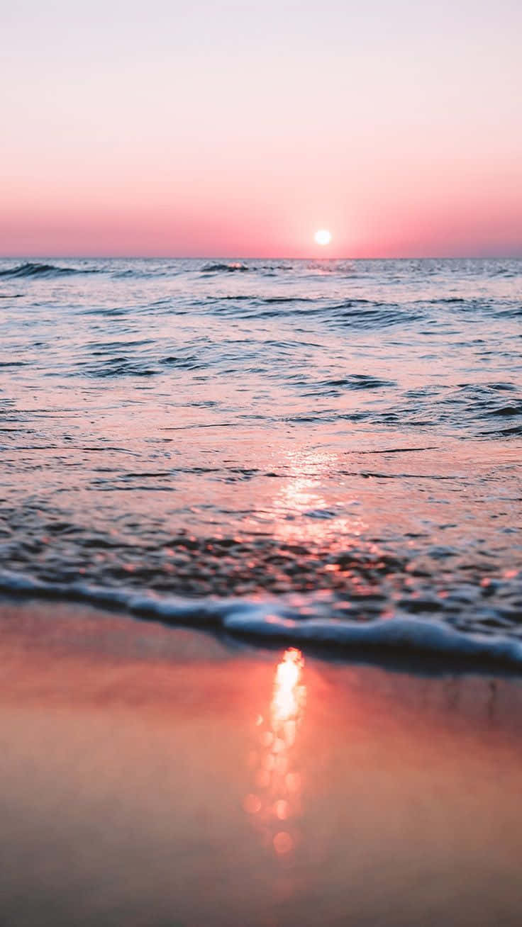Preppy vibes για το καλοκαίρι Ταπετσαρία