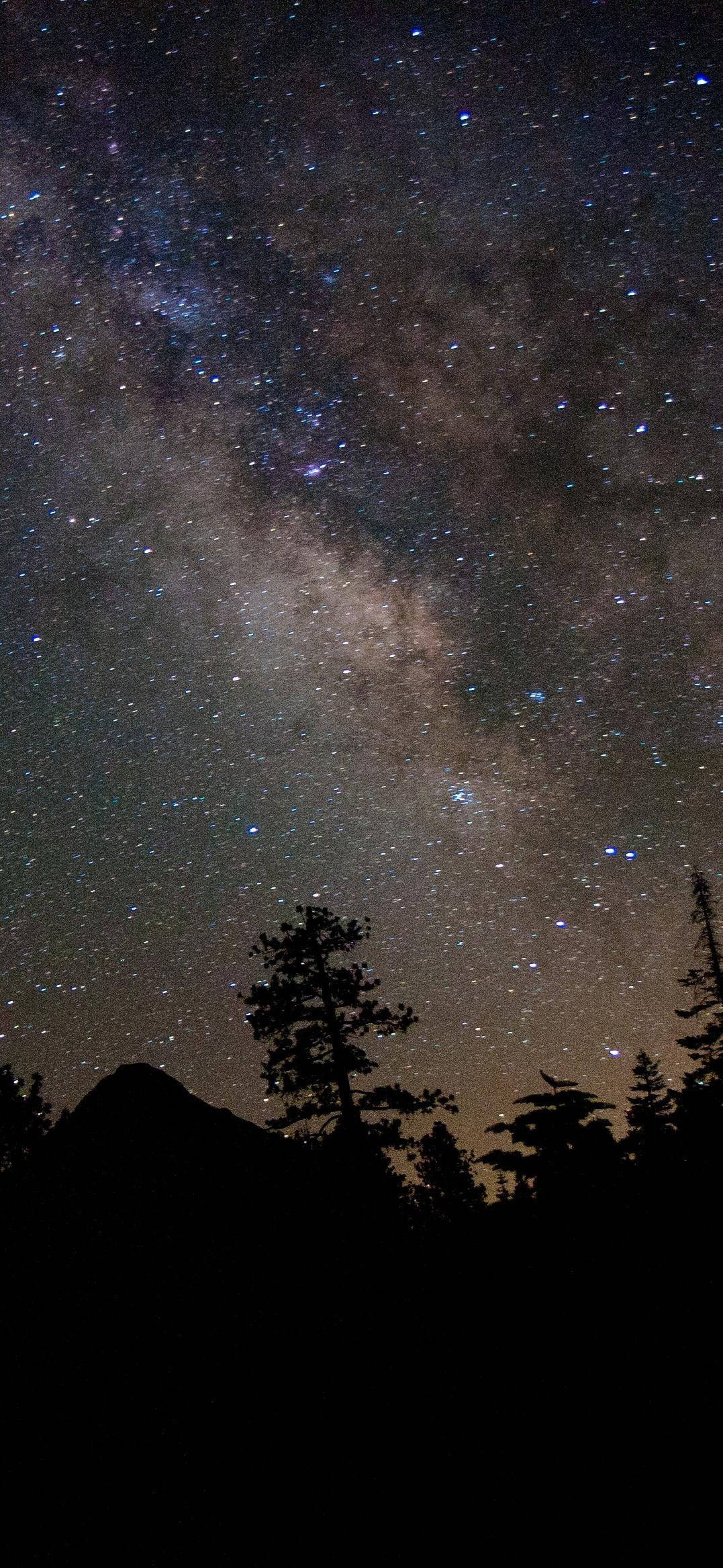Pretty Galaxy Mountain Forest Ταπετσαρία