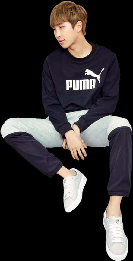 Άνετο Puma Σύνολο Καθιστή Πόζα Ταπετσαρία