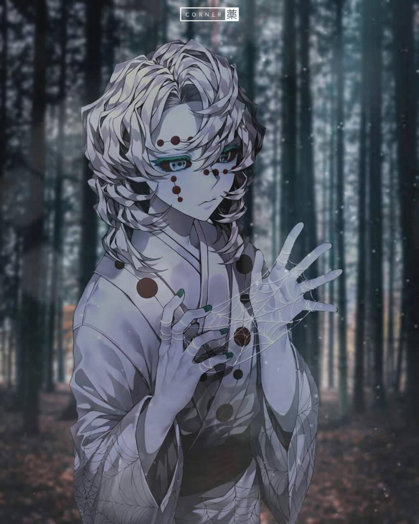 Rui Demon Slayer στο Δάσος Ταπετσαρία