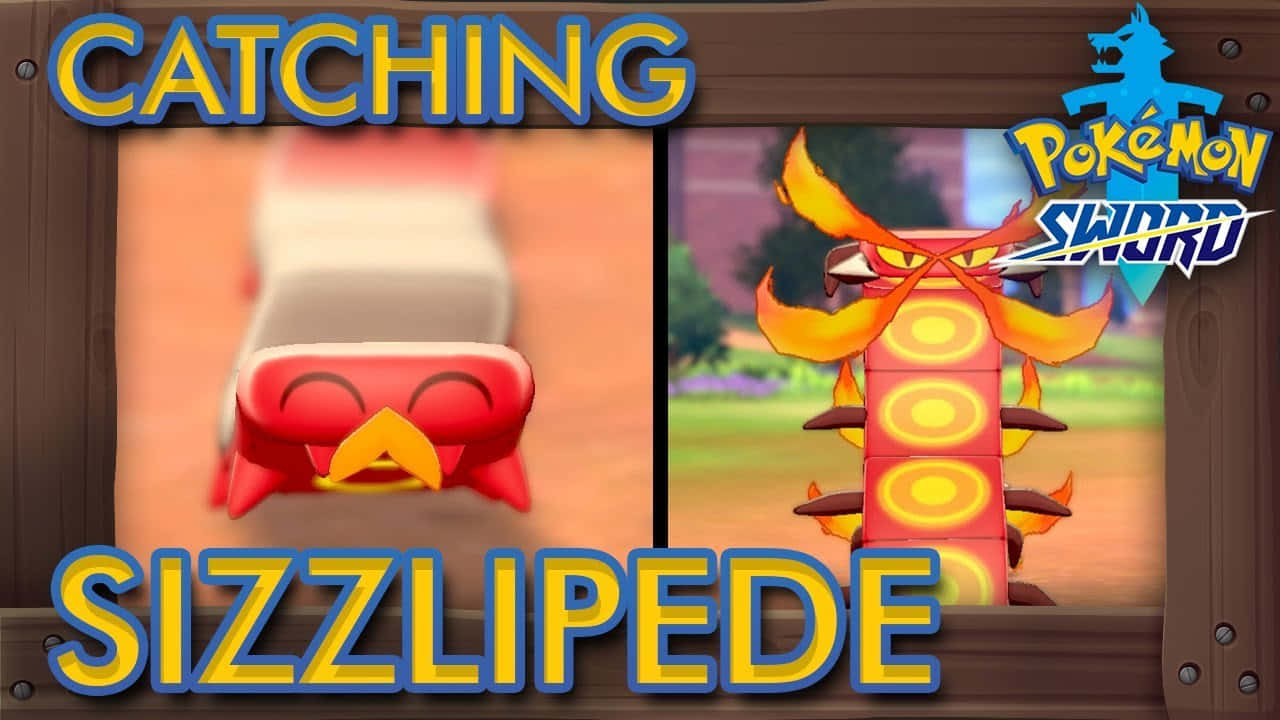 Πιάνοντας το Sizzlipede Ταπετσαρία
