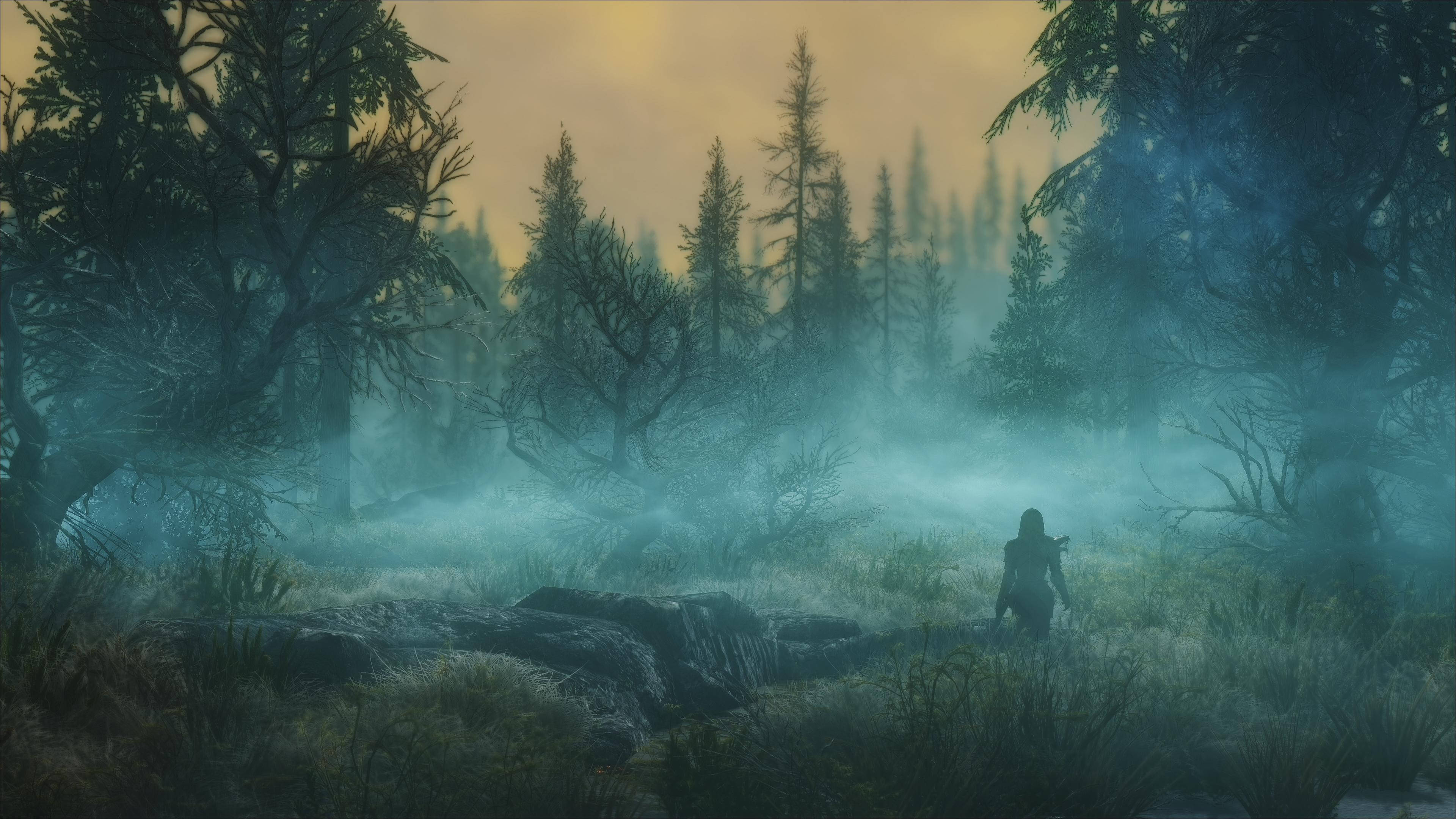 Skyrim Ultra HD Ομιχλώδες Σκοτεινό Δάσος Ταπετσαρία
