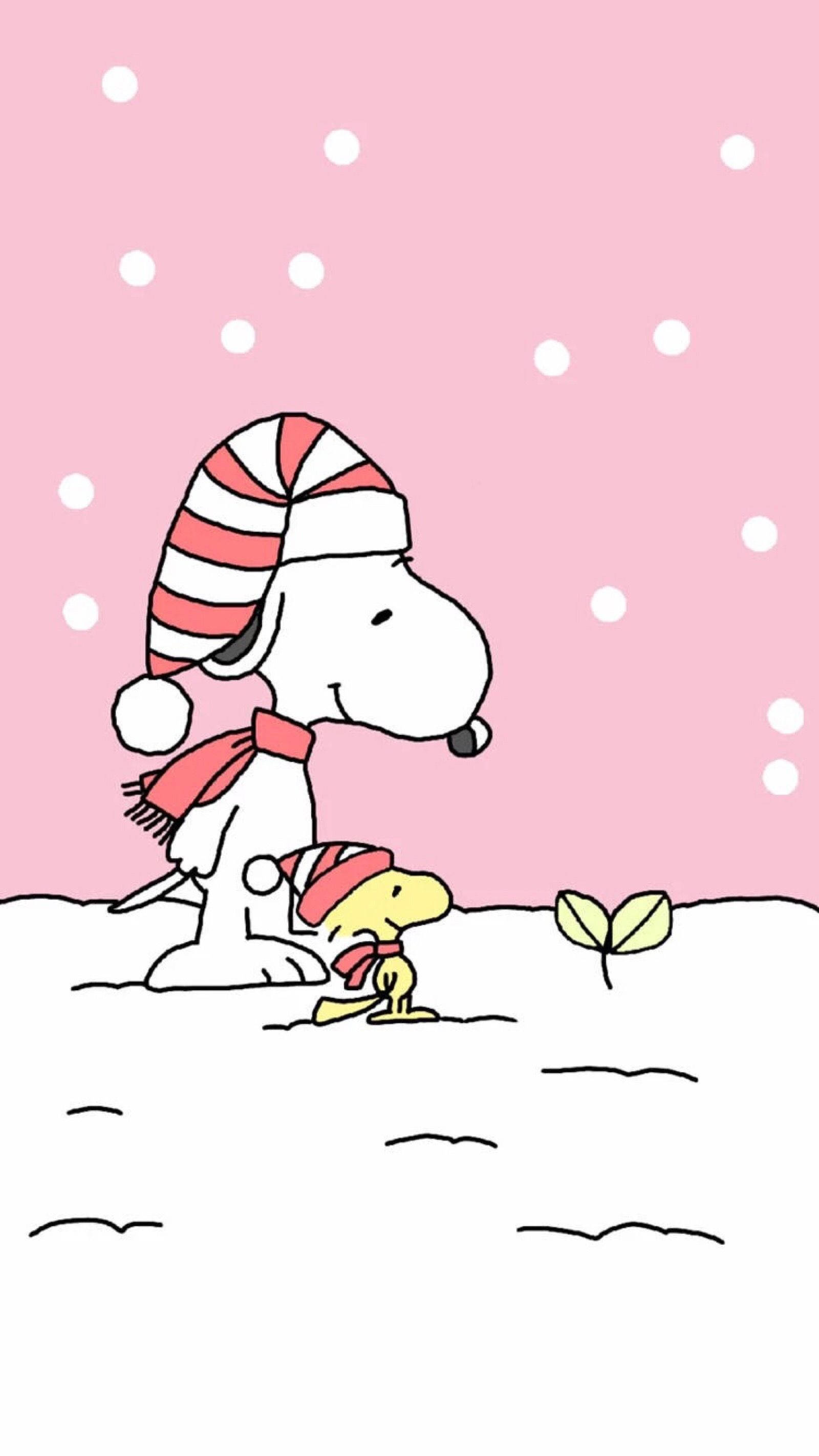 Snoopy Χριστουγεννιάτικο Φυτό Ταπετσαρία