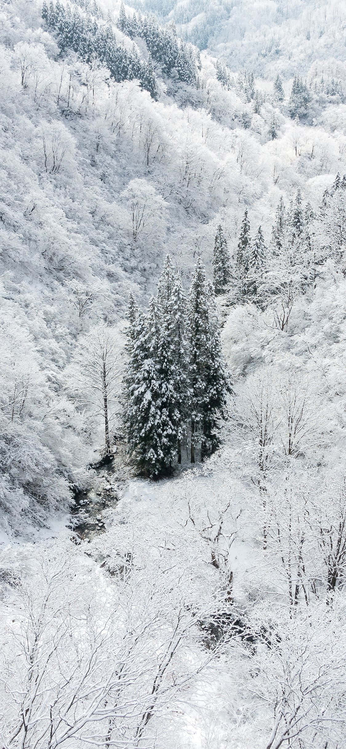 Απολαύστε τον Χειμώνα με το Snow iPhone Ταπετσαρία