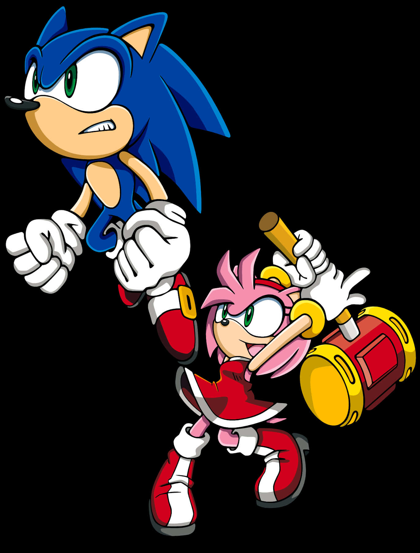Χαρακτήρες Sonic και Amy Rose Ταπετσαρία