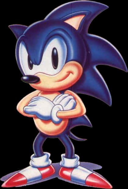 Κλασική Πόζα Sonic Ταπετσαρία