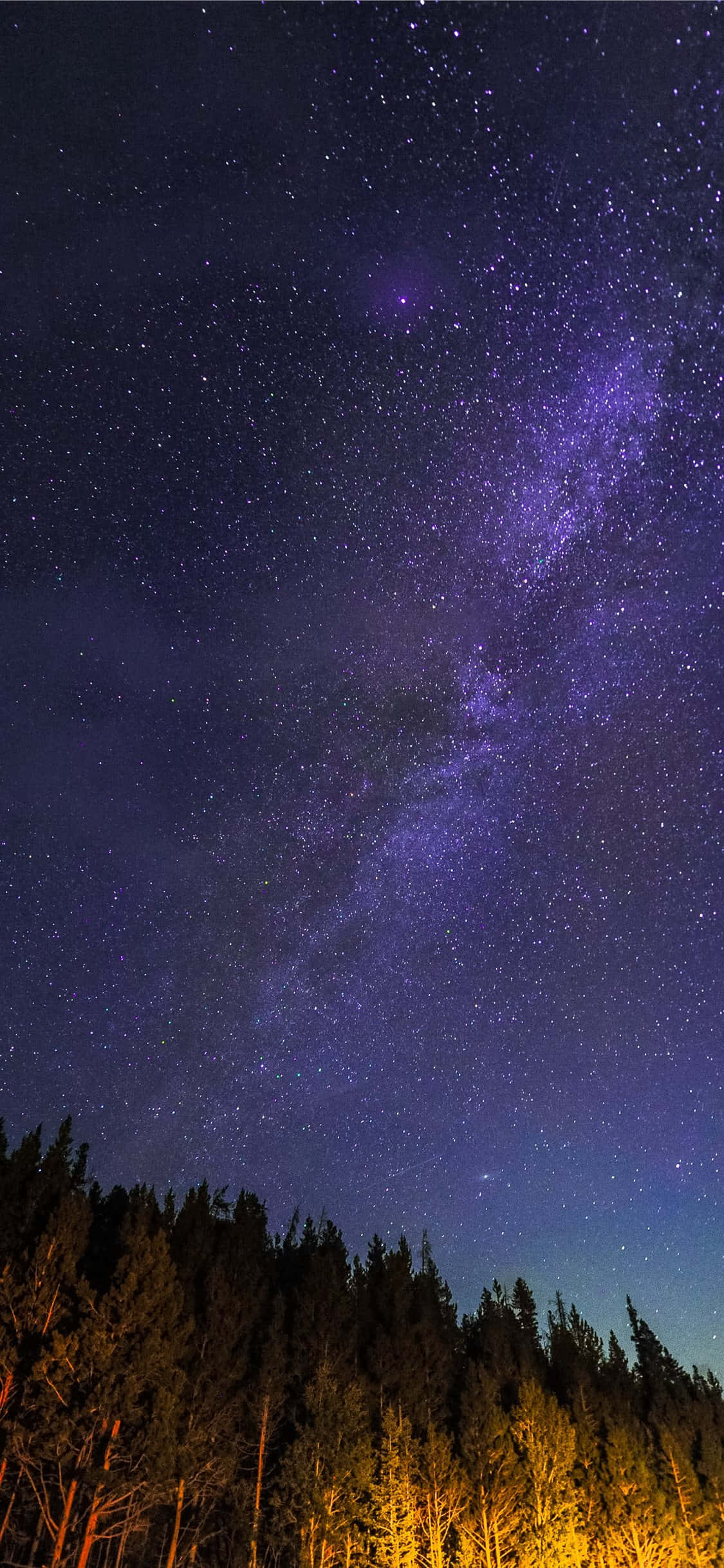 Starry_ Night_ Over_ Forest.JPG Ταπετσαρία
