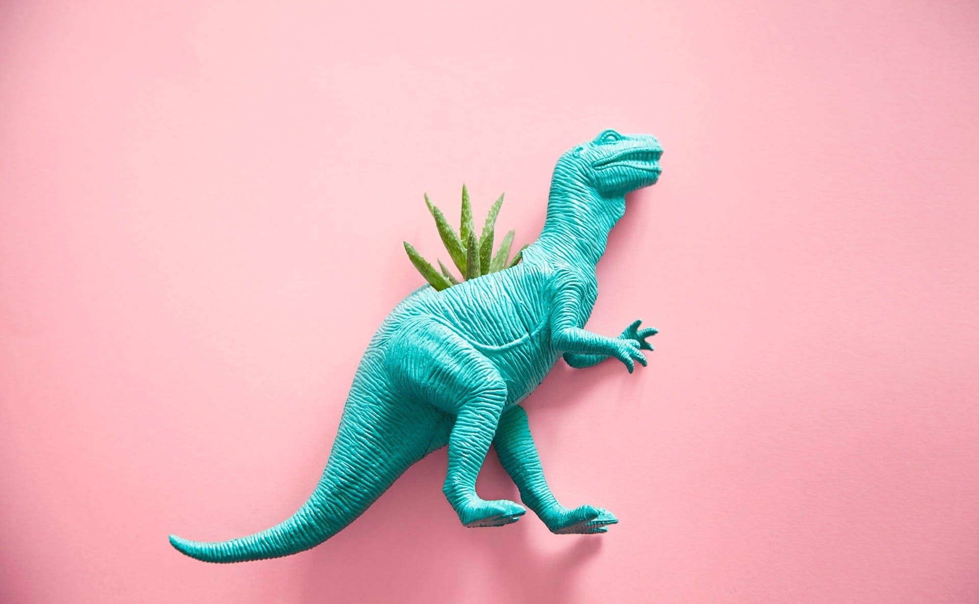 Χαριτωμένο ροζ φυτό δεινόσαυρου T-rex Ταπετσαρία