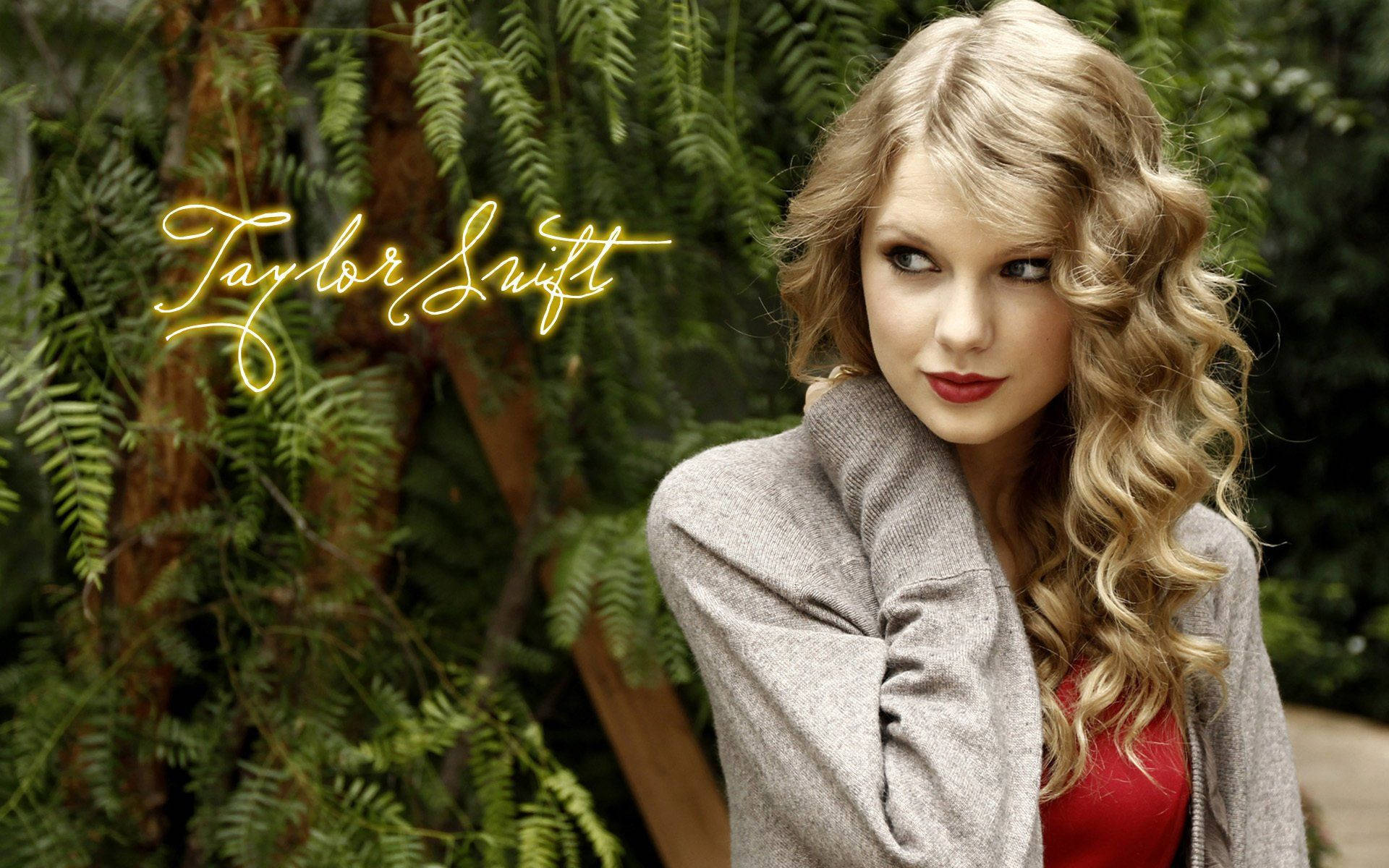 Η Taylor Swift ζωντανά στη σκηνή Ταπετσαρία