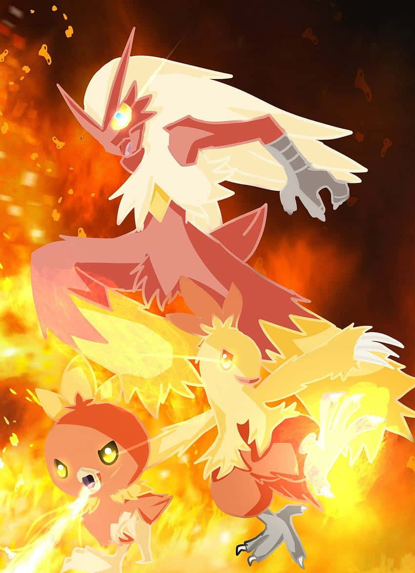 Εξέλιξη του Torchic στο Pokémon - Στάδια Εξέλιξης Ταπετσαρία