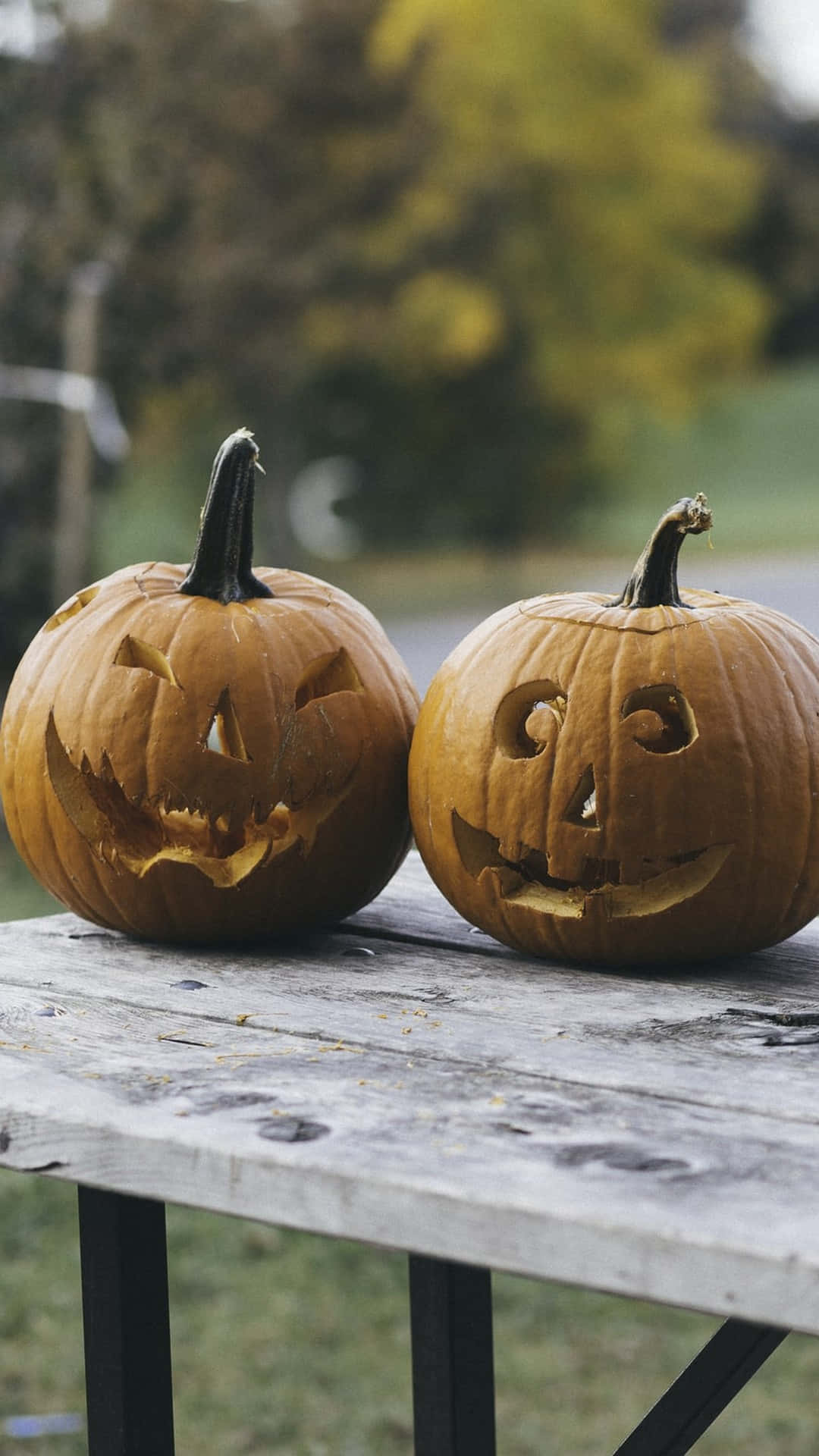 Trick or Treat! Μπείτε στο πνεύμα του Halloween με αυτή την τρομακτικά υπέροχη αισθητική Ταπετσαρία