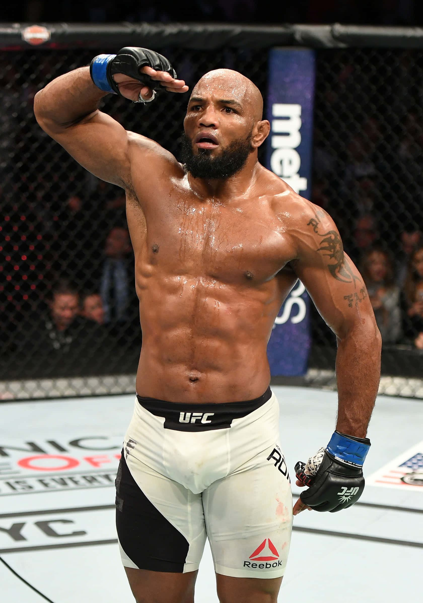 Χαιρετισμός του Γιοέλ Ρομέρο στο UFC 205 Ταπετσαρία