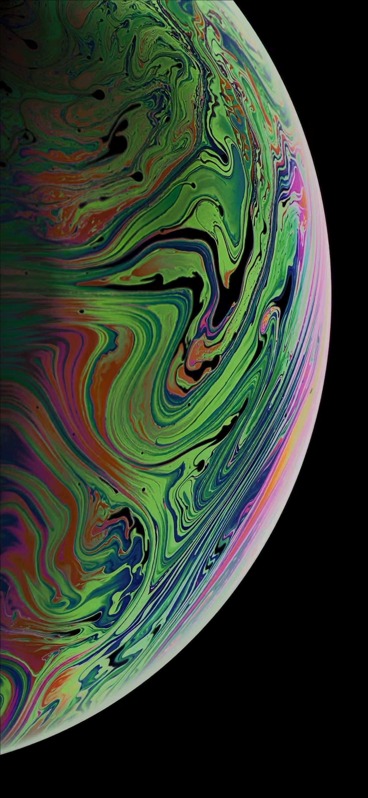 Χαριτωμένο Wallpaper με Κοάλα για iPhone Ταπετσαρία