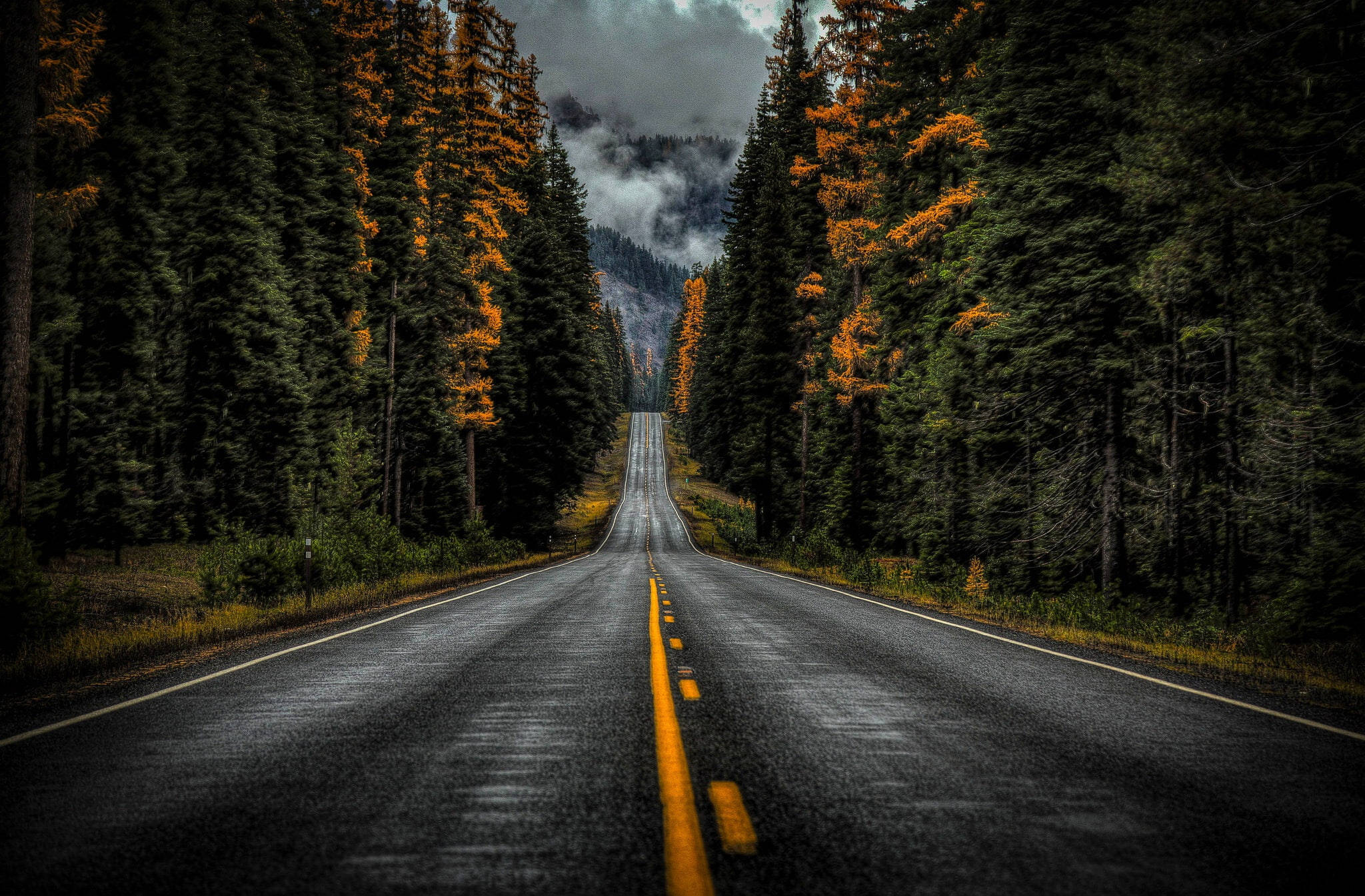 Washington State Route 410 Ταπετσαρία