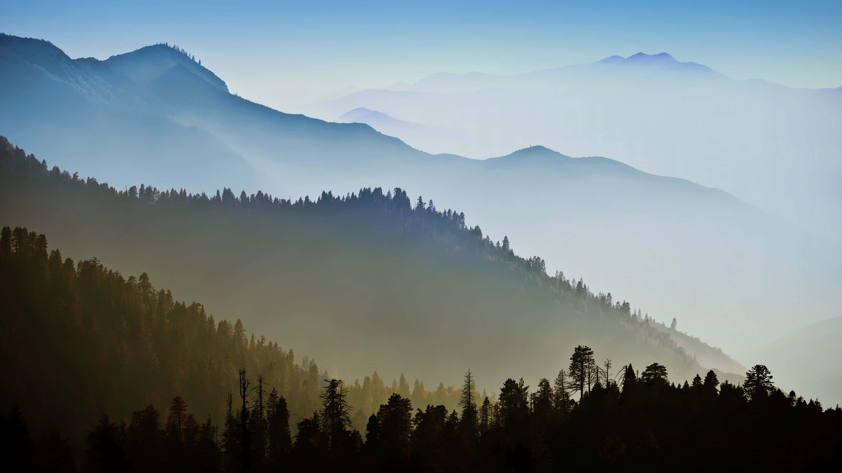 Woods Mountains Καλιφόρνια MacBook Προεπιλογή Ταπετσαρία
