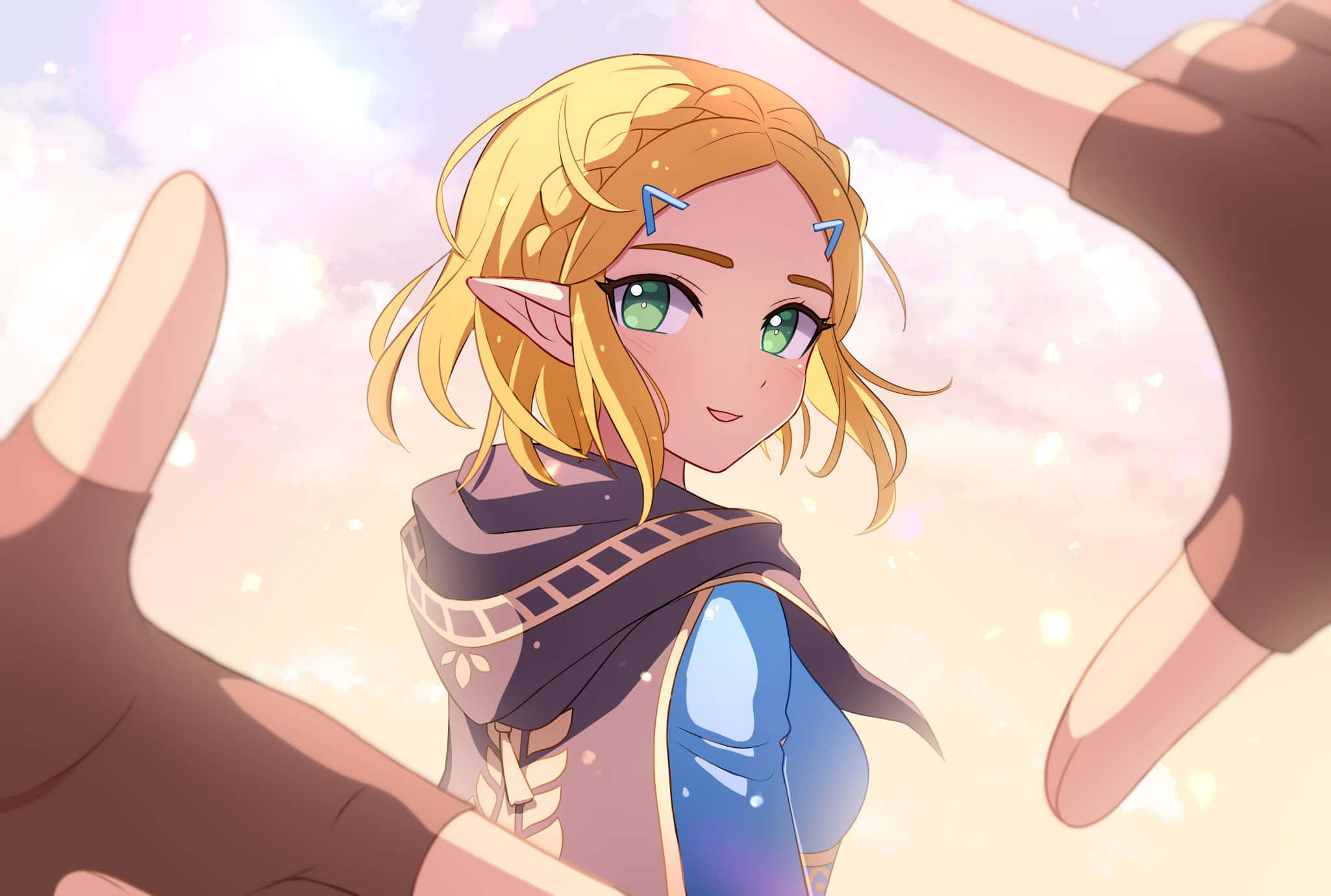 Φόντο Zelda Ταπετσαρία
