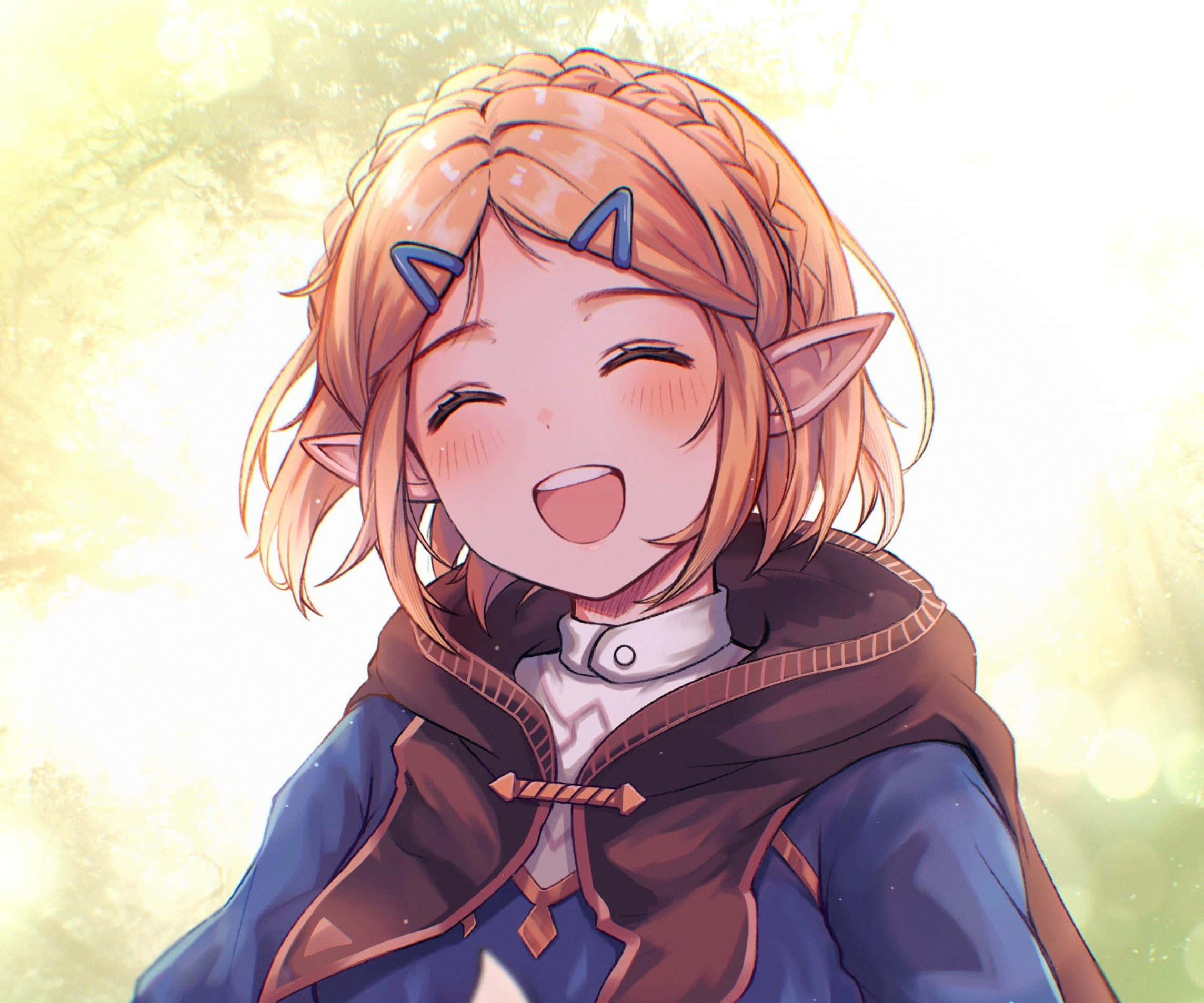 Φόντο Zelda Ταπετσαρία