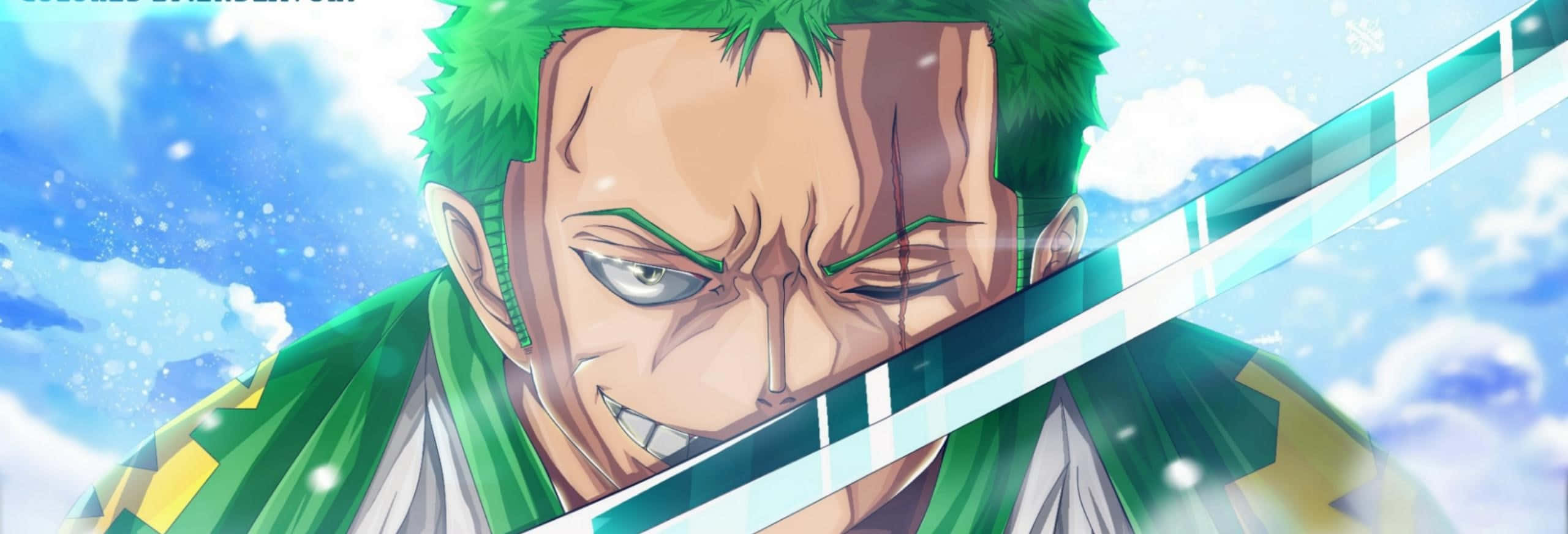 Zoro Wano Γυαλιστερό Σπαθί Ταπετσαρία
