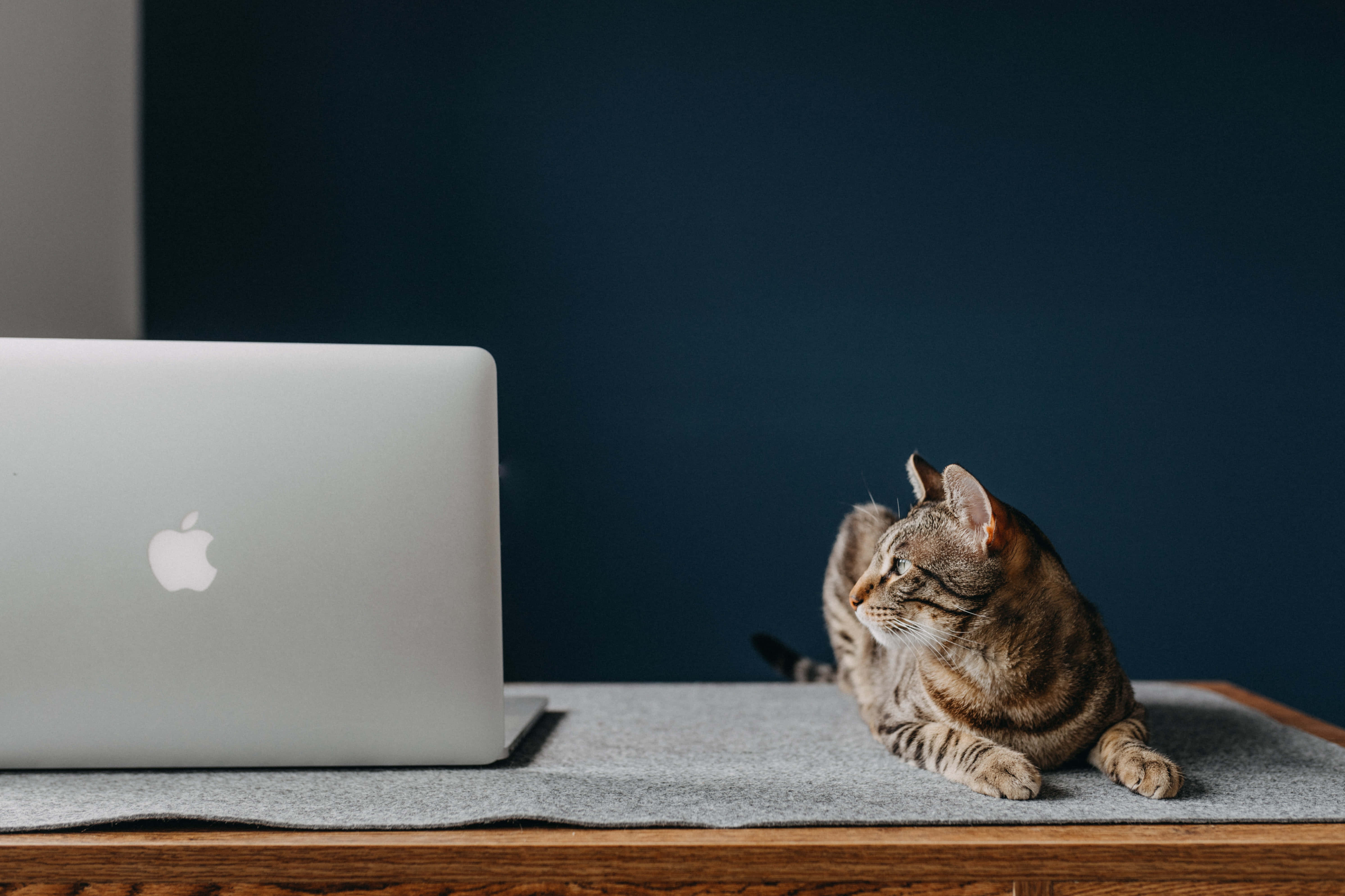 Ένα κλασικό Macbook laptop με μινιμαλιστική διάταξη Ταπετσαρία