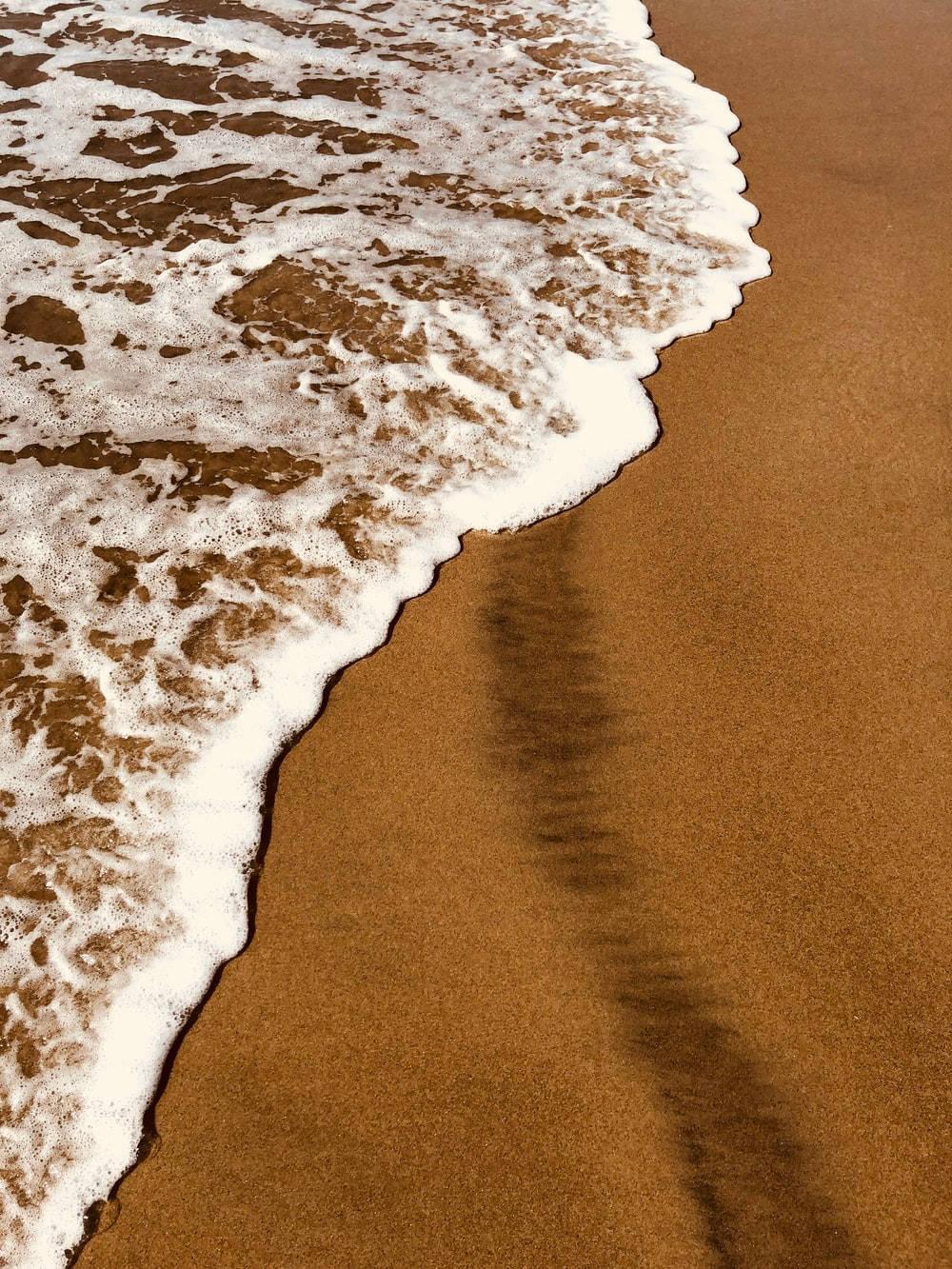 Αισθητική Ακτή σε Ανοιχτό Καφέ Ταπετσαρία