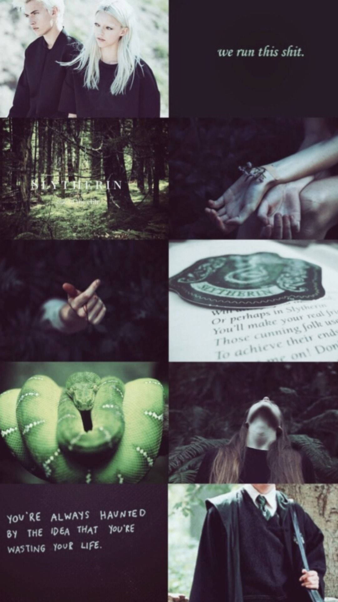 Αισθητική Ζευγαριού Draco Malfoy Slytherin Ταπετσαρία