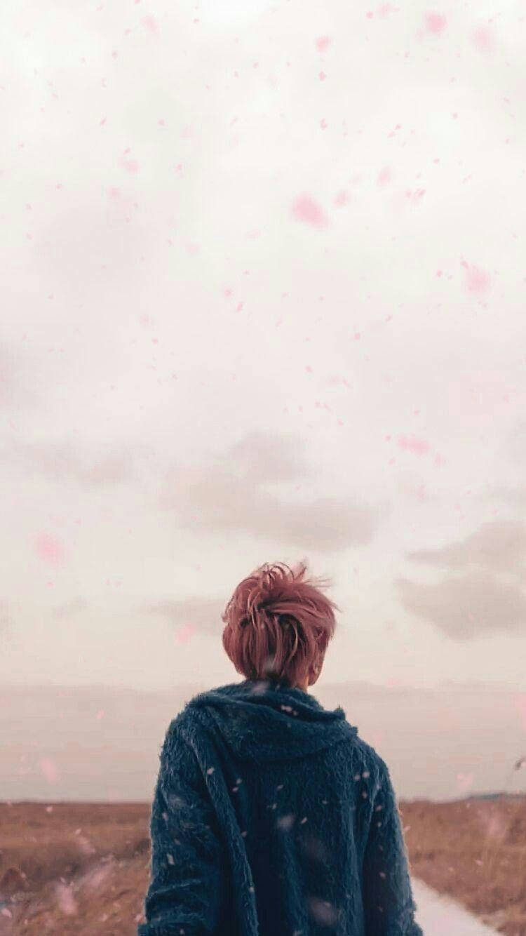 Αισθητικό Bts Jimin Spring Day Ταπετσαρία