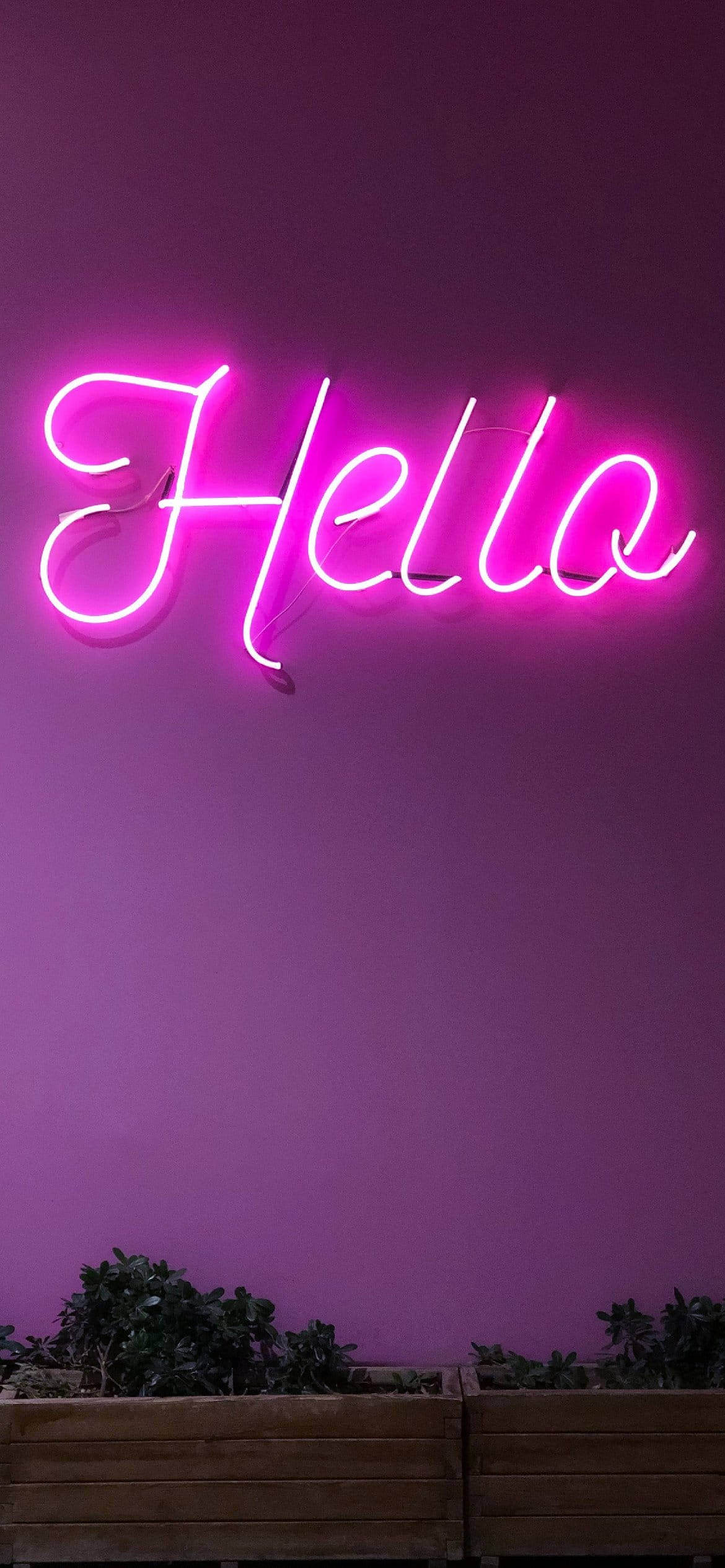Αισθητικό Ανοιχτό Μωβ Neon Hello Ταπετσαρία