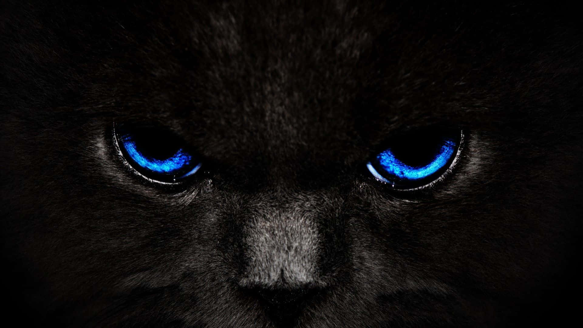 Ανακαλύψτε την ομορφιά και τη δυναμική του Cool Black Ταπετσαρία