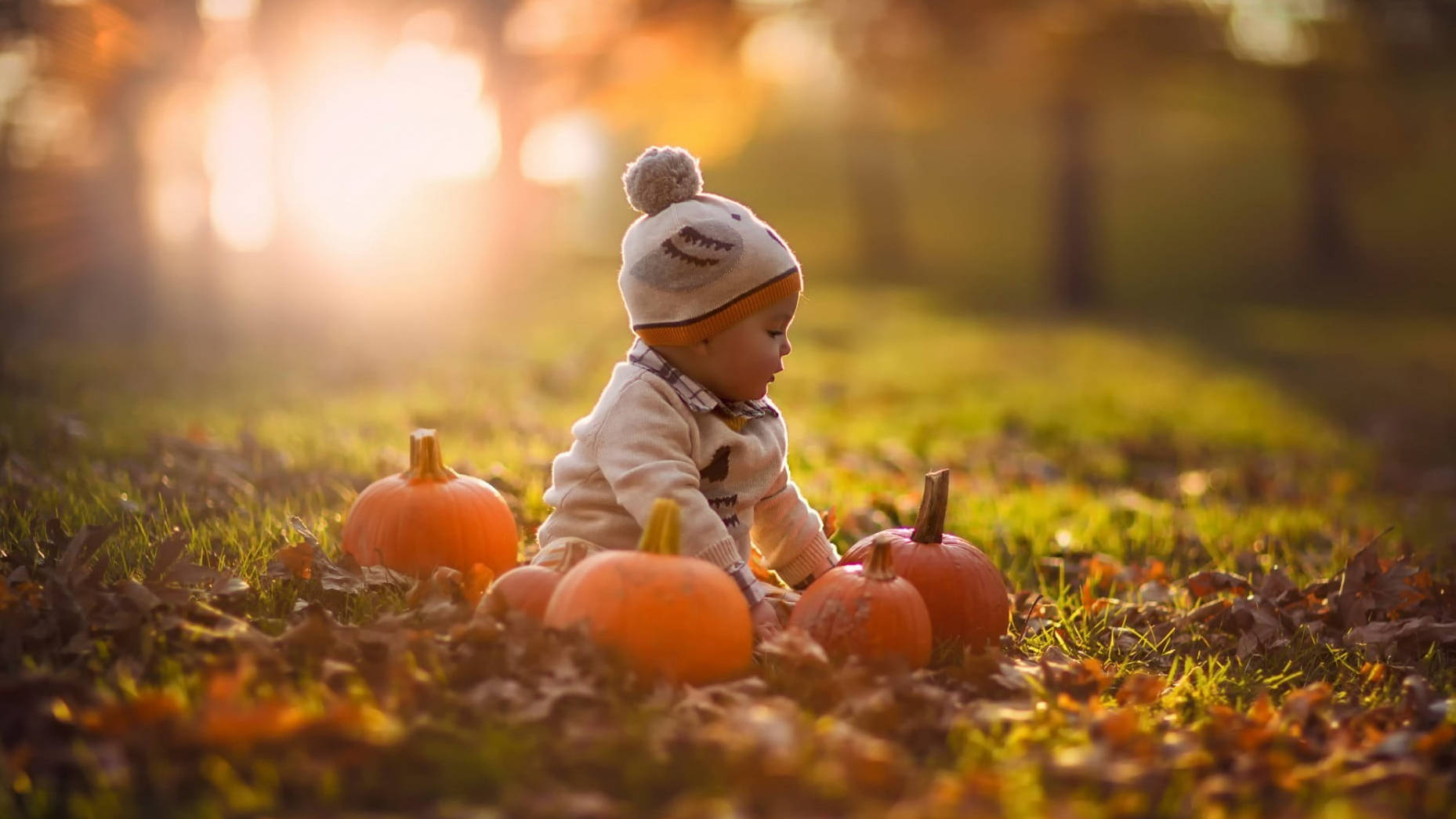 Αξιολάτρευτο Μωρό Halloween στο Πάρκο Ταπετσαρία