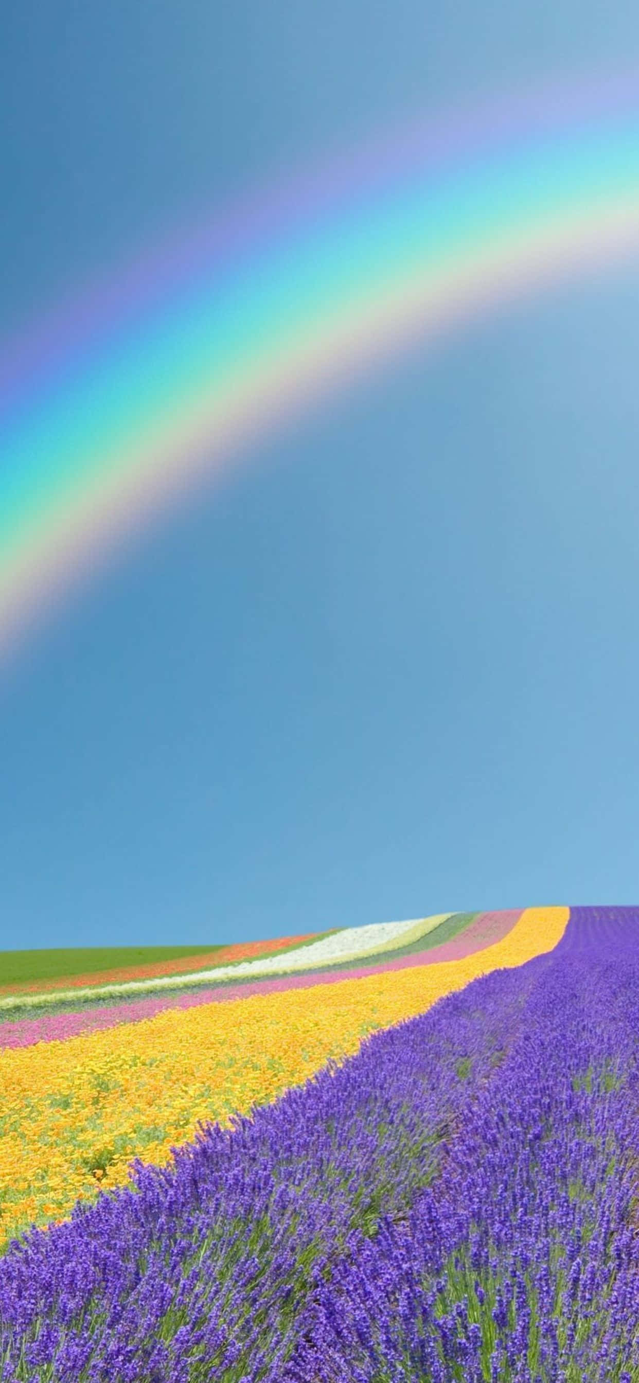 Απολαύστε μια όμορφη Άνοιξη με το Google Pixel 3 Ταπετσαρία