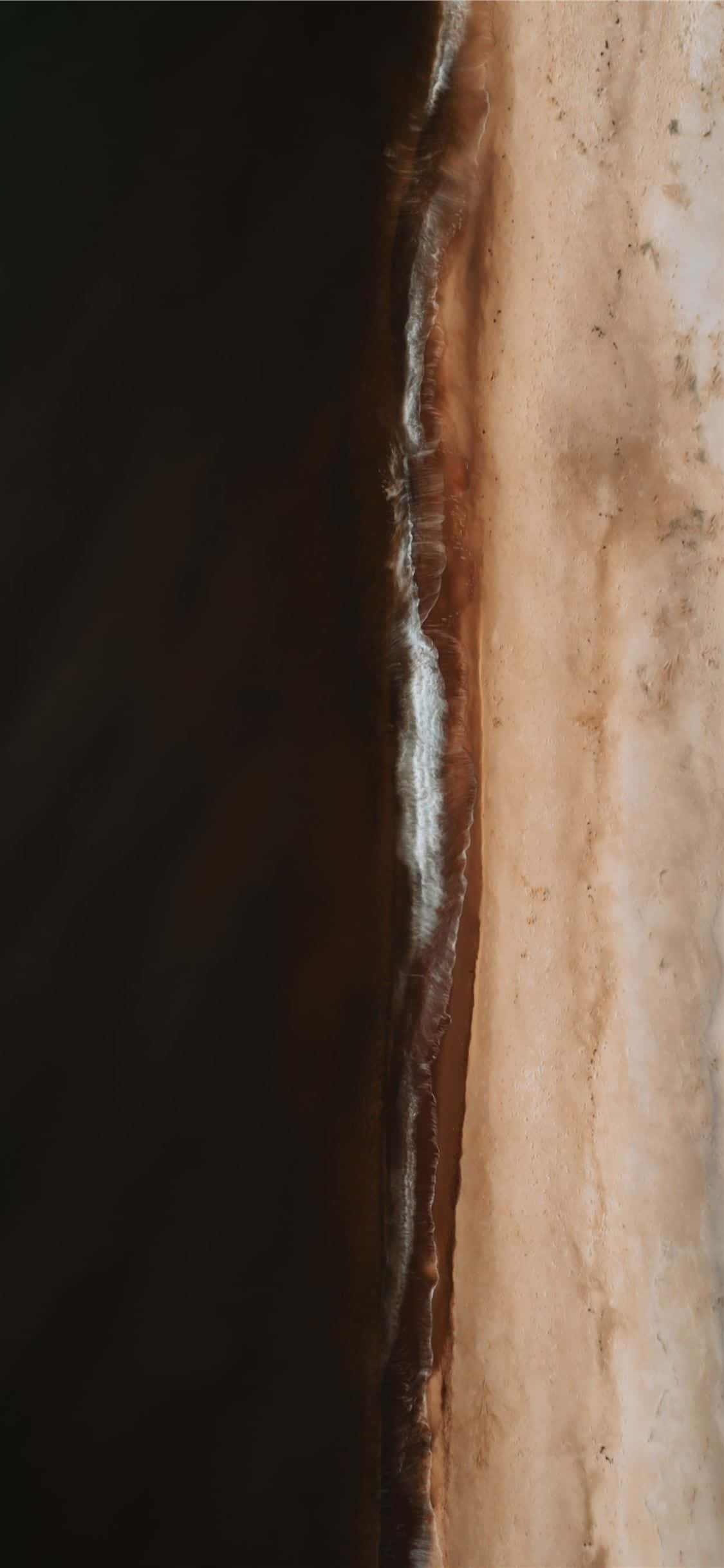 Απολαύστε τη ζεστασιά του καφέ και λευκού contrast wallpaper για να ταιριάζει στη διακόσμηση του σπιτιού σας Ταπετσαρία