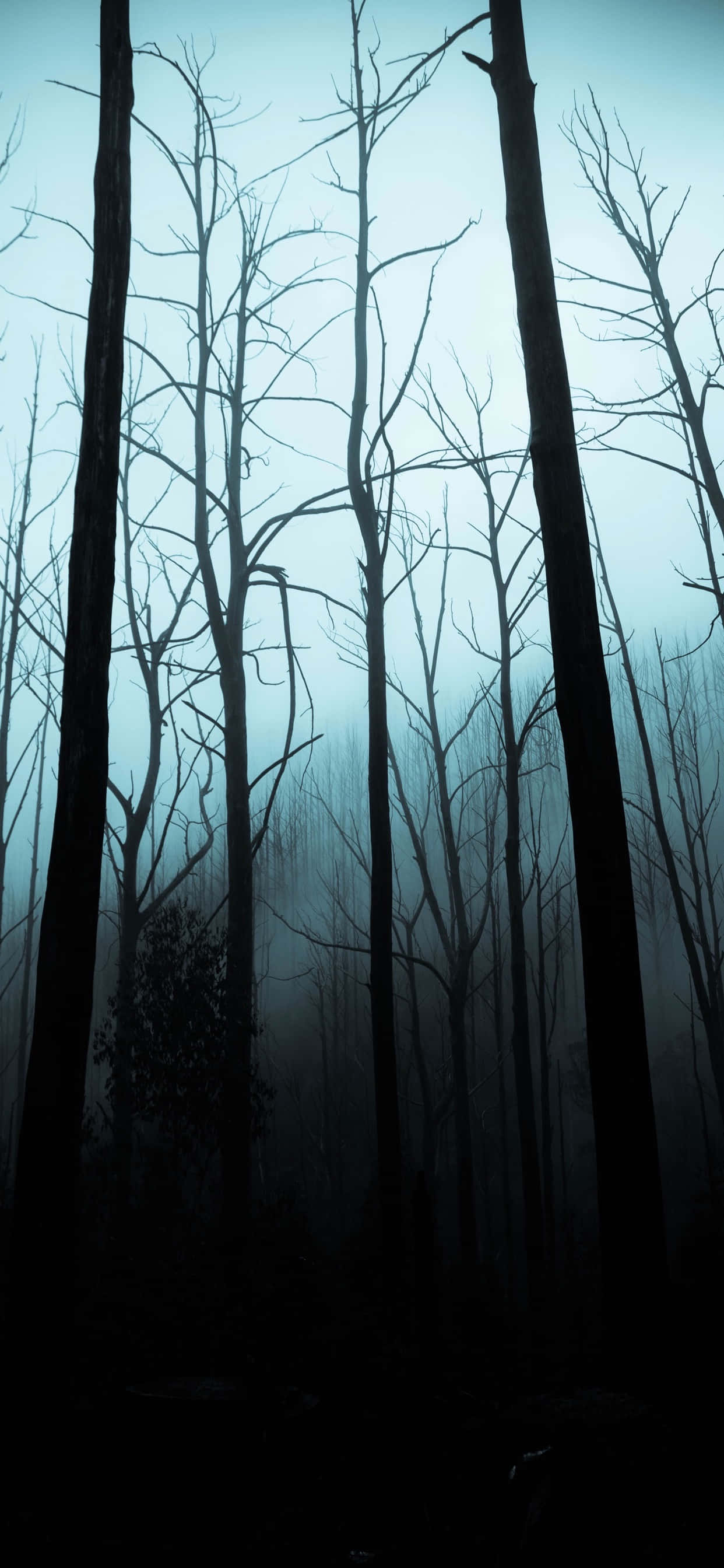 Απόκοσμο Δάσος για Φόντο iPhone Halloween Ταπετσαρία