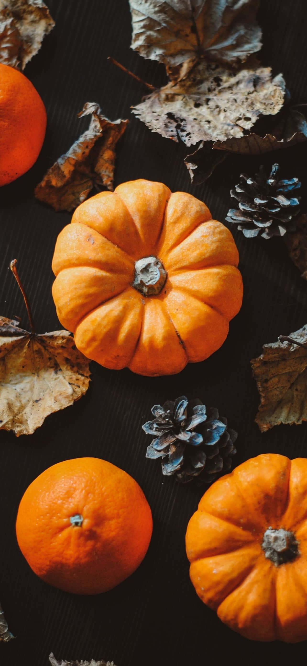 Απόκοσμο Φεγγαρόφωτο Halloween iPhone Υπόβαθρο Ταπετσαρία