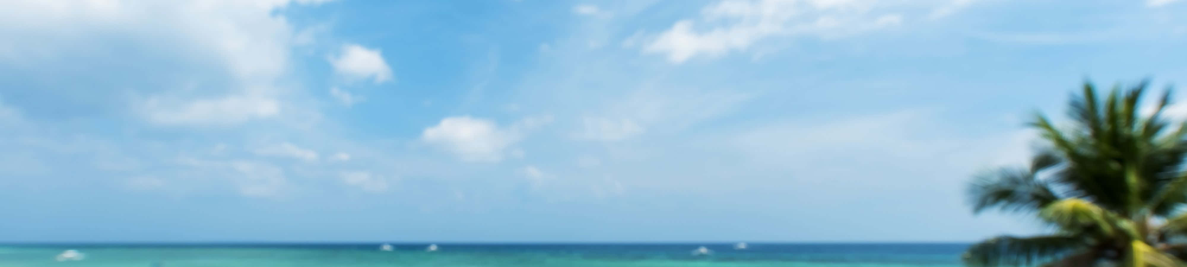Απόλαυσε την ομορφιά της φύσης Ταπετσαρία