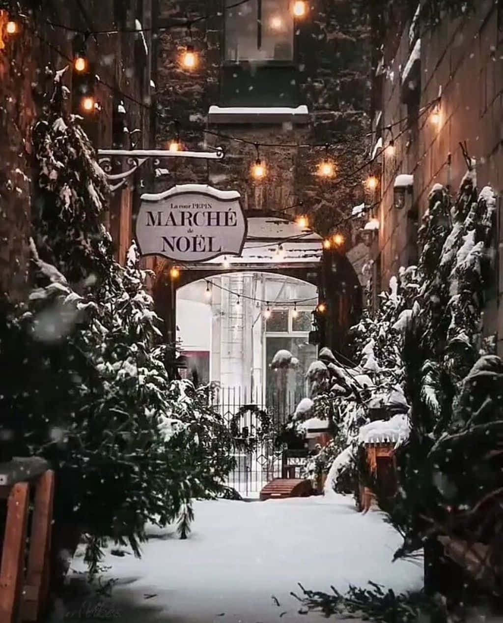 Απόλαυσε τους ήχους της εορταστικής περιόδου και φέρε χαρά στο σπίτι σου με μια Χριστουγεννιάτικη Αισθητική Ταπετσαρία