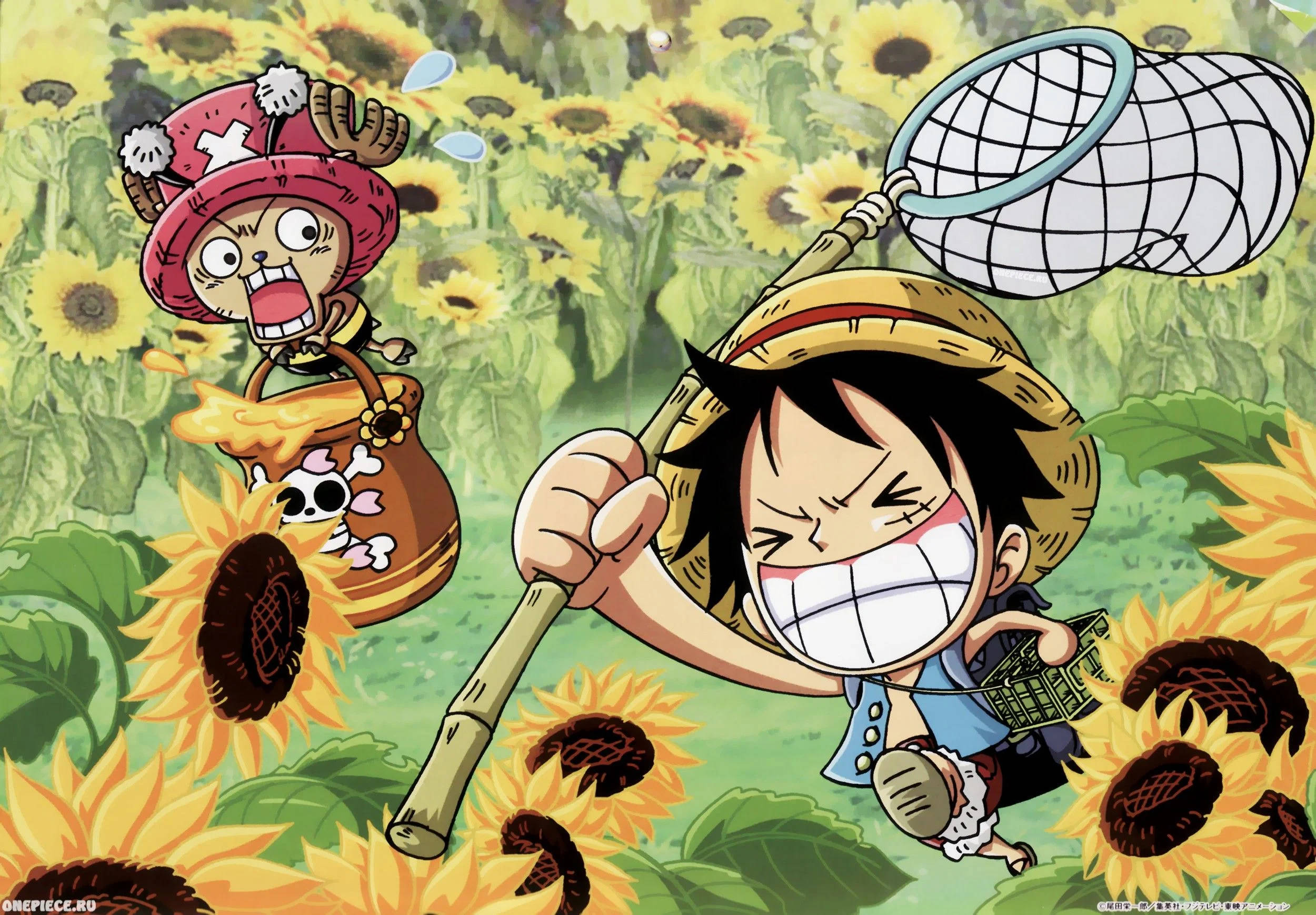 Αστεία Anime Εικόνα Luffy και Chopper Ταπετσαρία