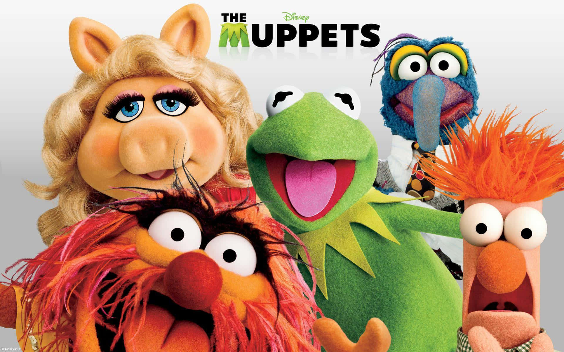 αφίσα ταινίας των Muppets Ταπετσαρία
