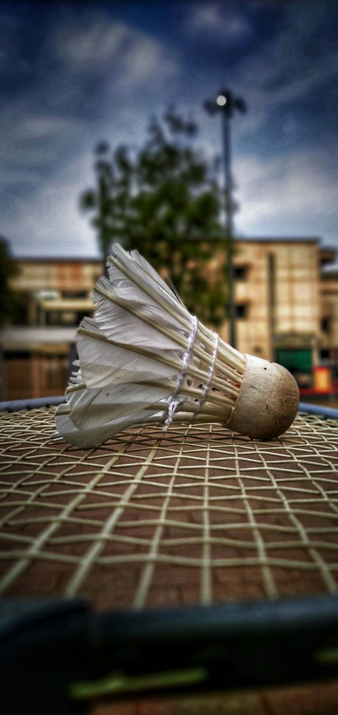 «Βουτήξτε στον Κόσμο Γεμάτο Αδρεναλίνη του Android Badminton» Ταπετσαρία