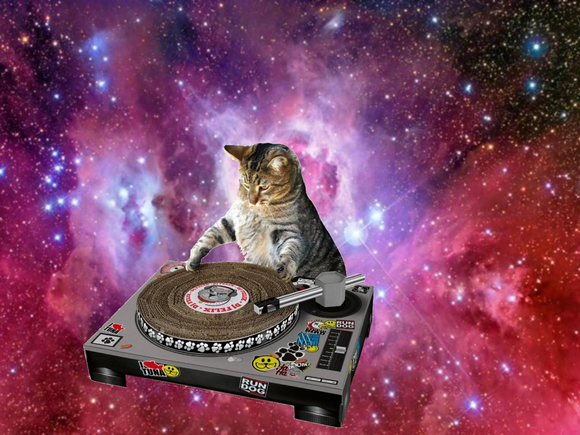 Γάτα DJ στο Διάστημα Ταπετσαρία